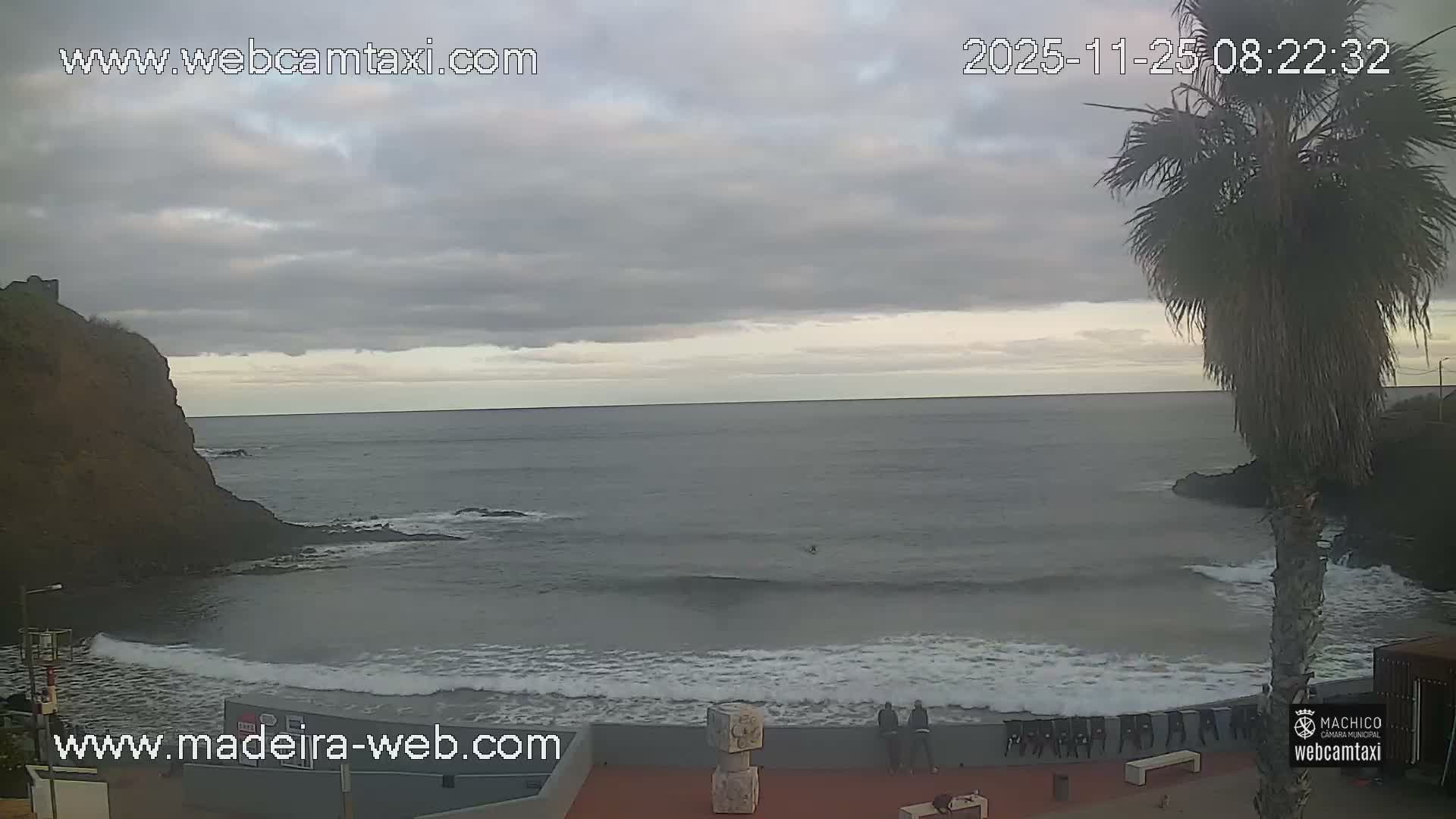 An overcast morning captures a rocky coastal bay with dark grey waters and white waves breaking, featuring a prominent palm tree on the right and a few individuals on a foreground promenade.