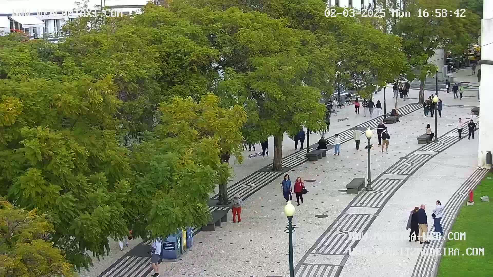  Ritz, Avenida Arriaga Avenue & Joao Goncalves Zarco Statue Live Cam - Funchal, Madeira, Portugal