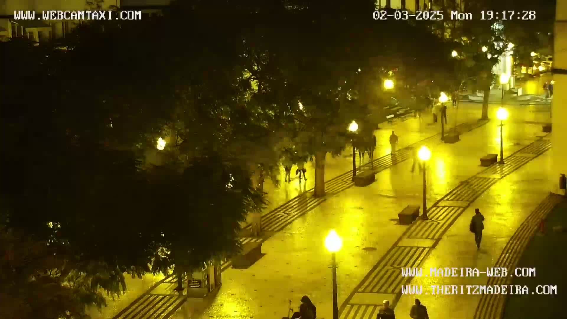 A rain-slicked, brightly lit pedestrian walkway at night shows several people walking under the glow of street lamps and trees.