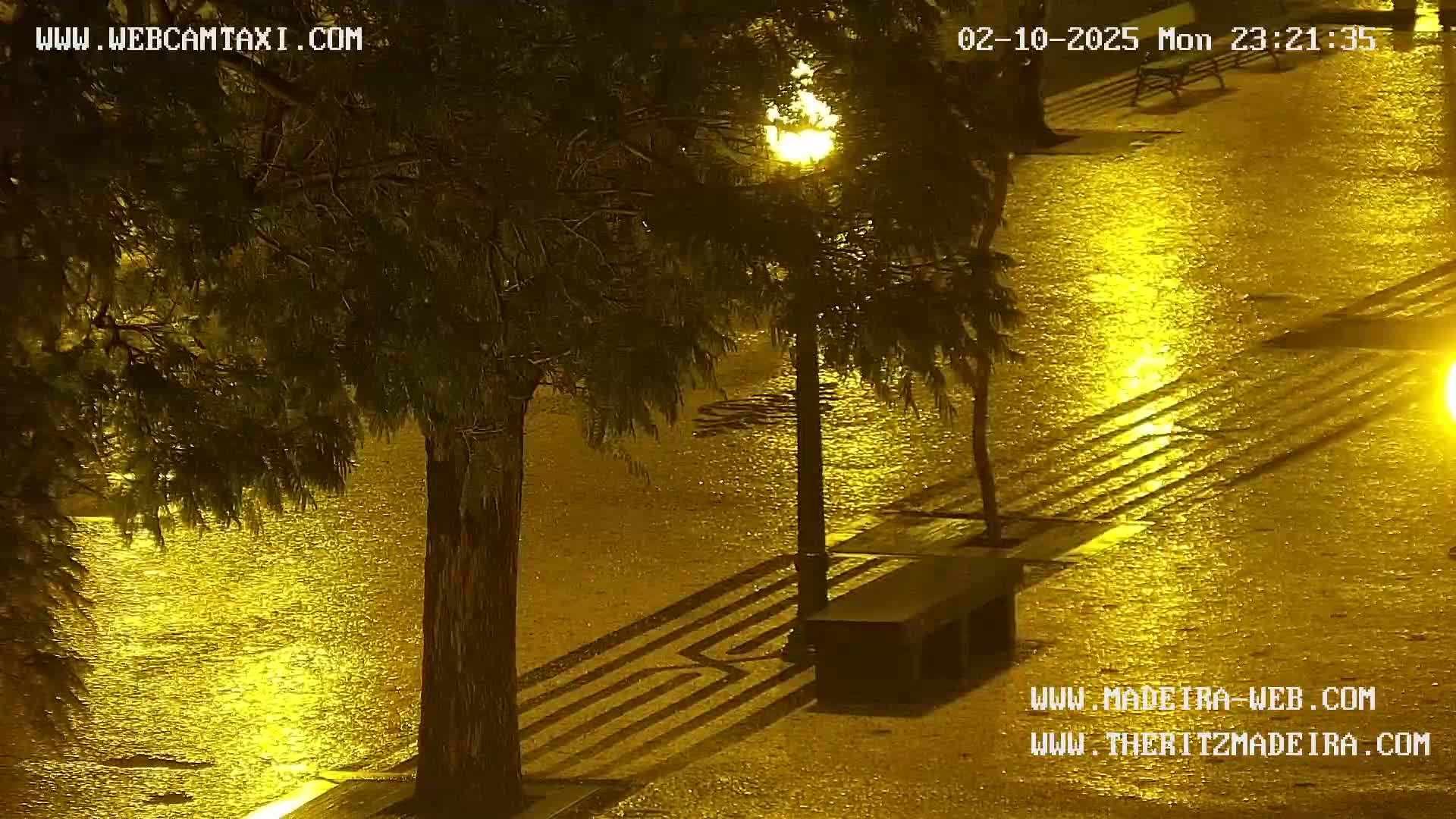 A rain-slicked, nighttime street scene shows a patterned walkway illuminated by streetlights, flanked by trees.
