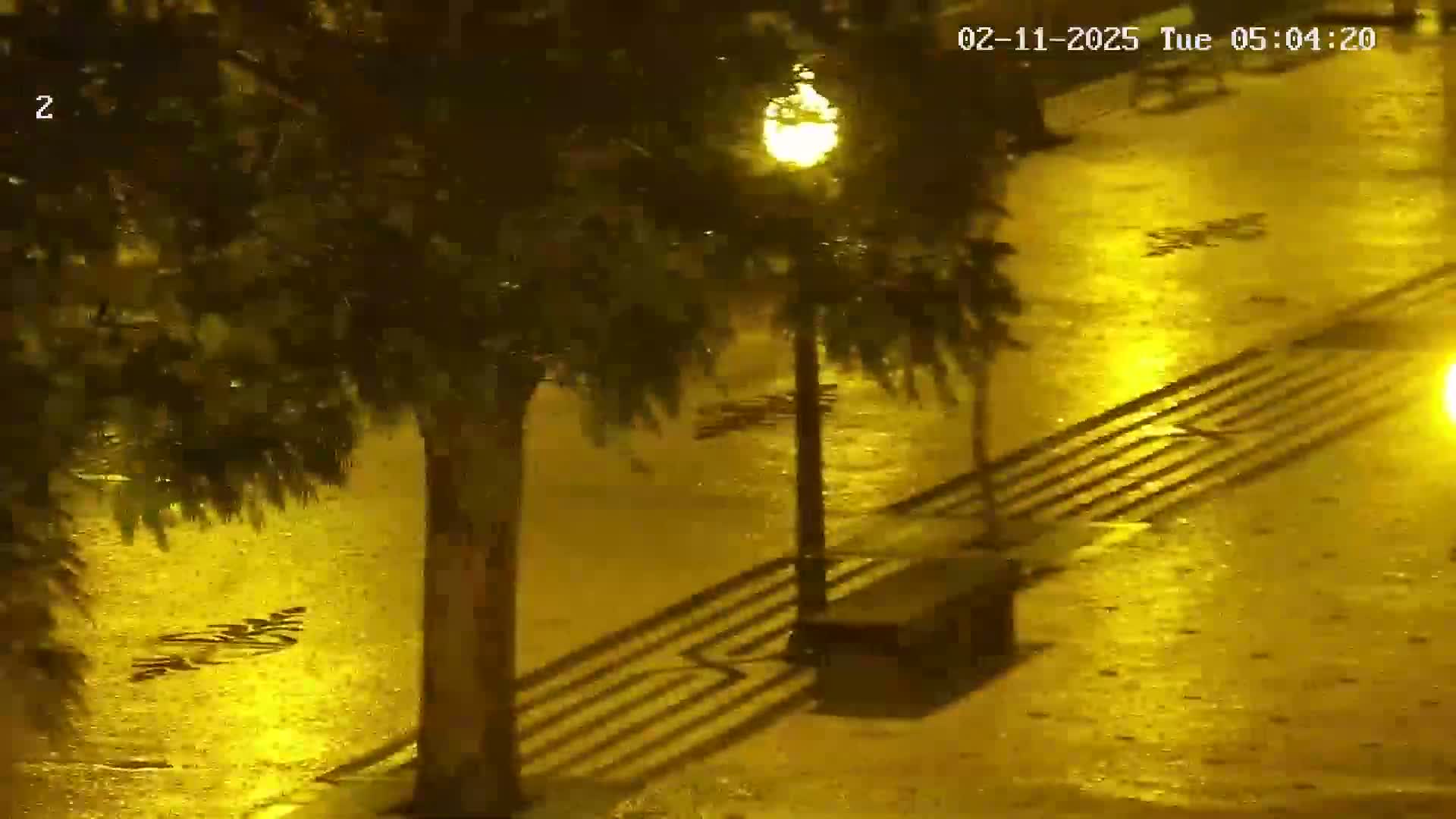 A rain-slicked street at night, illuminated by streetlights, with shadows cast from trees and a bench.