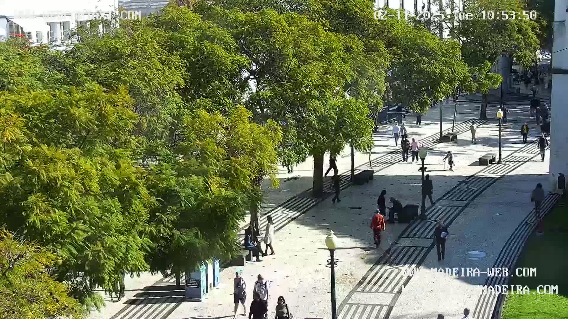 A sunny outdoor plaza with a patterned stone walkway is populated by several people walking among lush green trees.