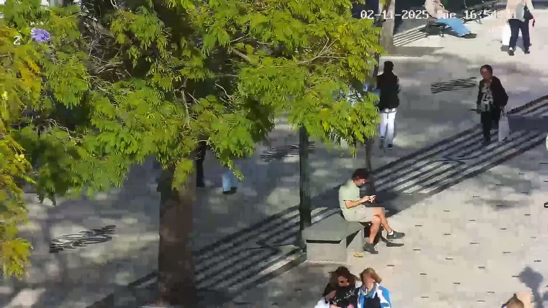 A sunny outdoor scene shows a paved pedestrian area with several people walking and one person sitting on a bench under the shade of a large tree.