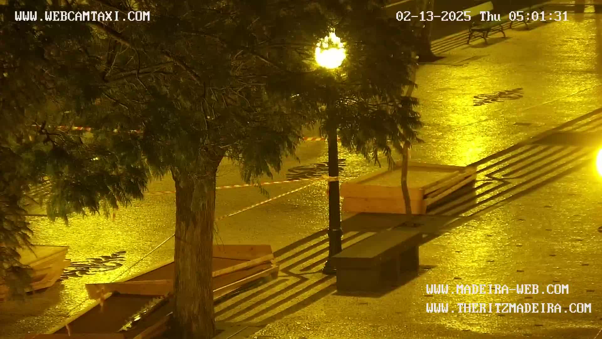 A rain-soaked plaza at night is illuminated by a streetlamp, with several wooden crates and benches visible under the tree's canopy.