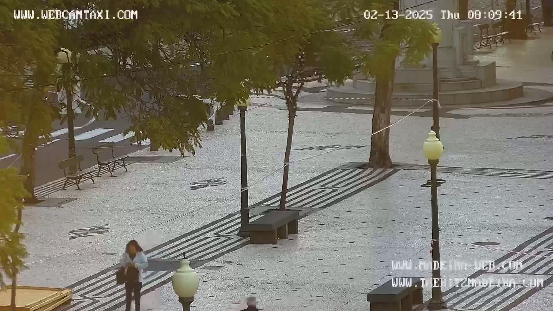 A mostly empty paved plaza with benches, lampposts, and trees is seen on an overcast day.