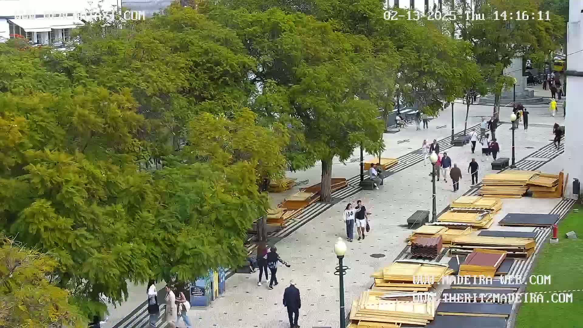 A paved pedestrian area with numerous people walking among lush green trees and stacks of wooden planks under an overcast sky.