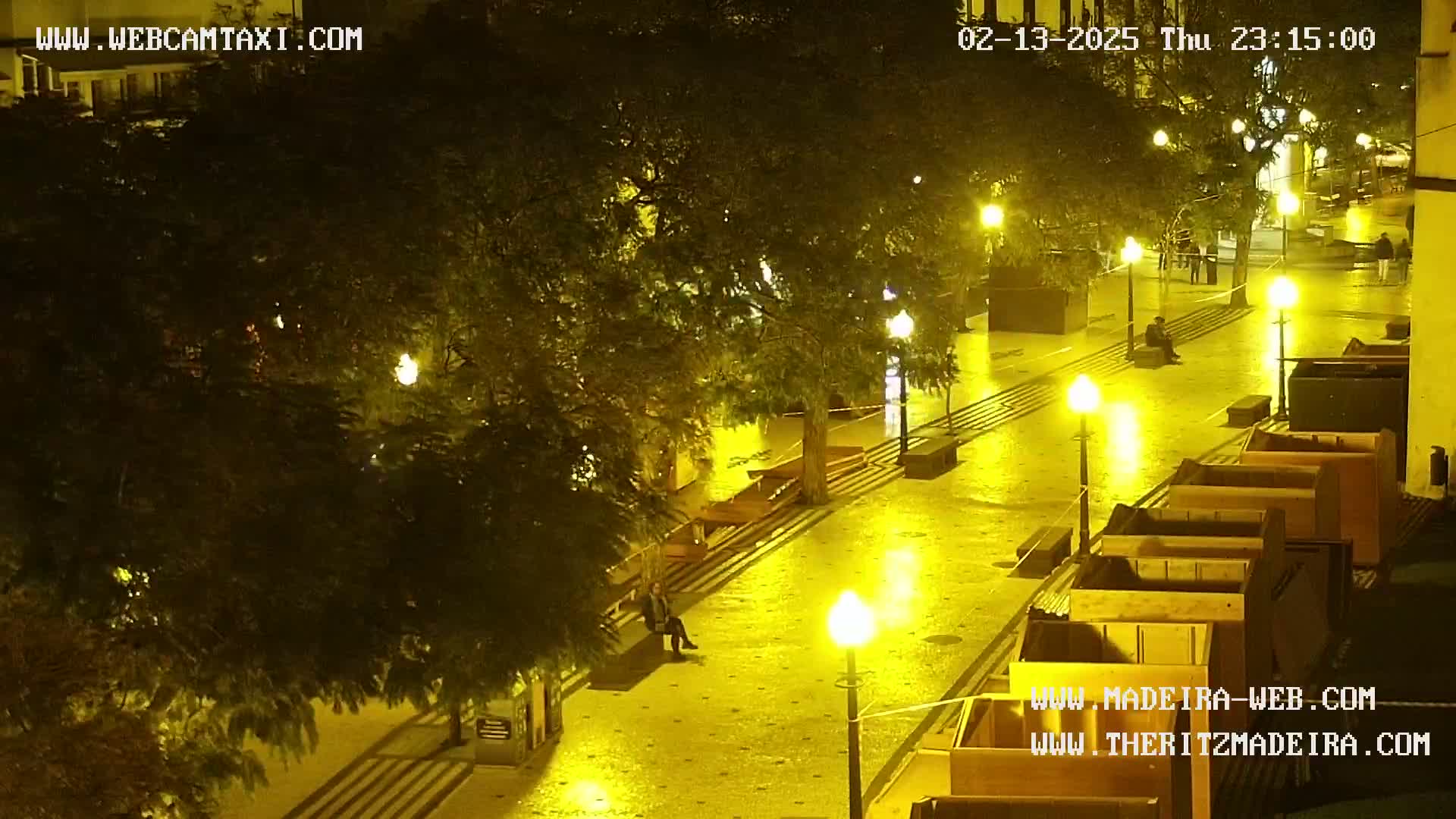 A wet, nighttime plaza is illuminated by yellow streetlights, with several people sitting on benches under the trees.