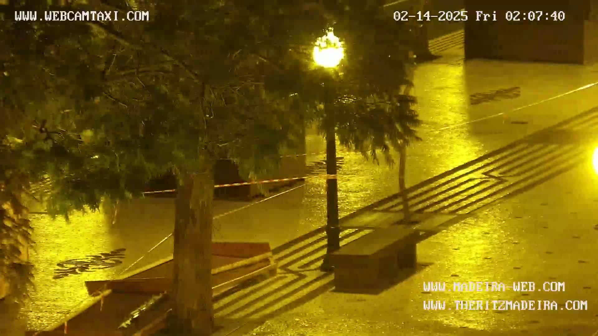 A nighttime, rain-soaked paved area is illuminated by streetlights, with shadows cast from trees and benches.