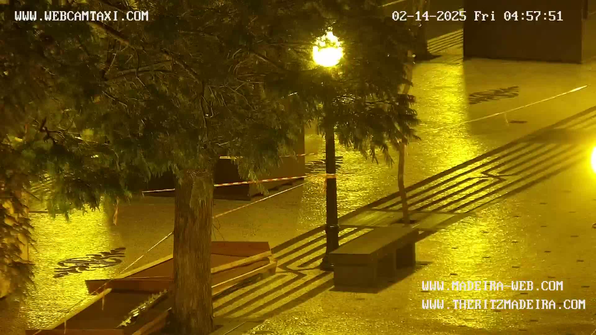 A nighttime view of a flooded plaza with streetlights illuminating the water and surrounding trees.