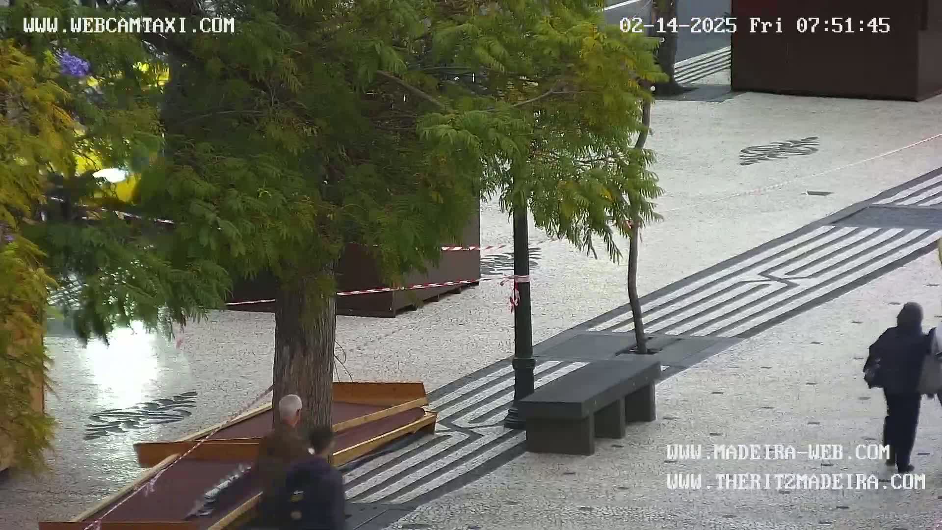 A wet, paved outdoor plaza features several wooden benches, trees, and a few people; some wooden structures are cordoned off with red and white tape.