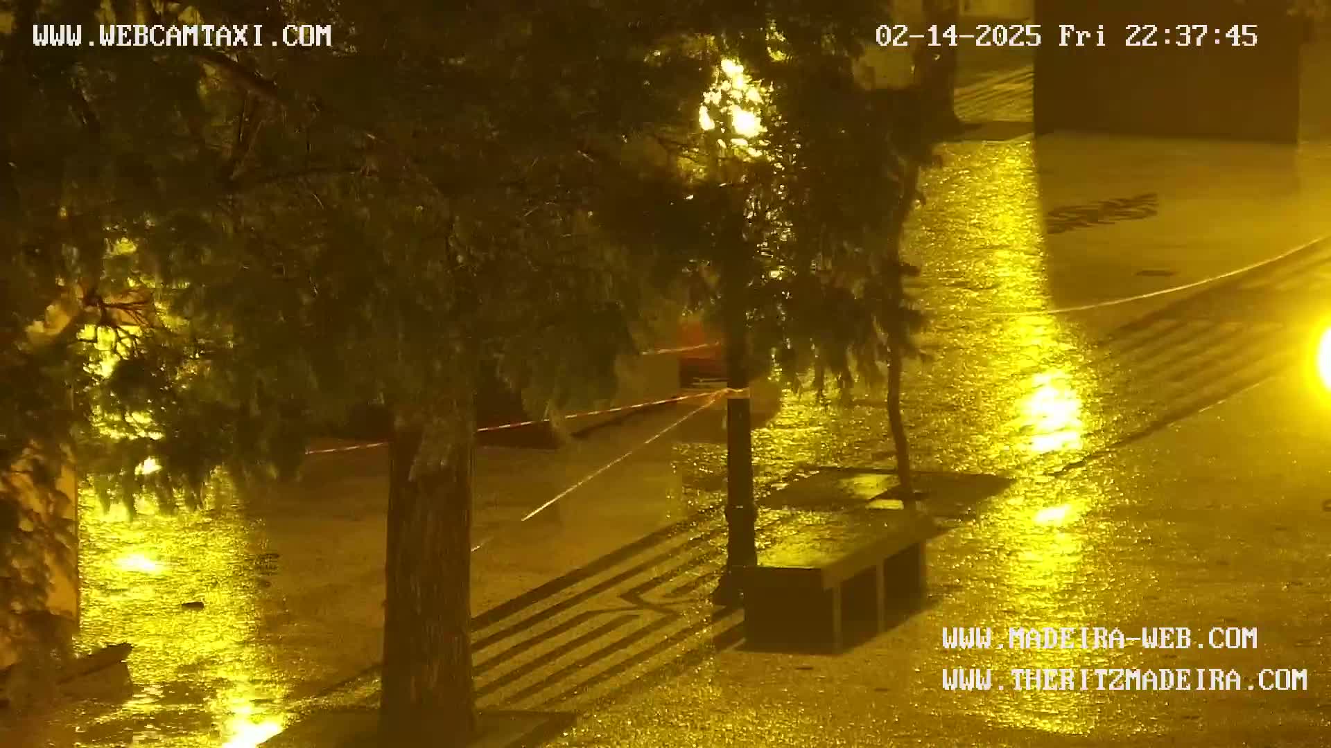 A rain-soaked, nighttime street scene shows flooded pavement, streetlights reflecting in puddles, and trees under heavy rain.