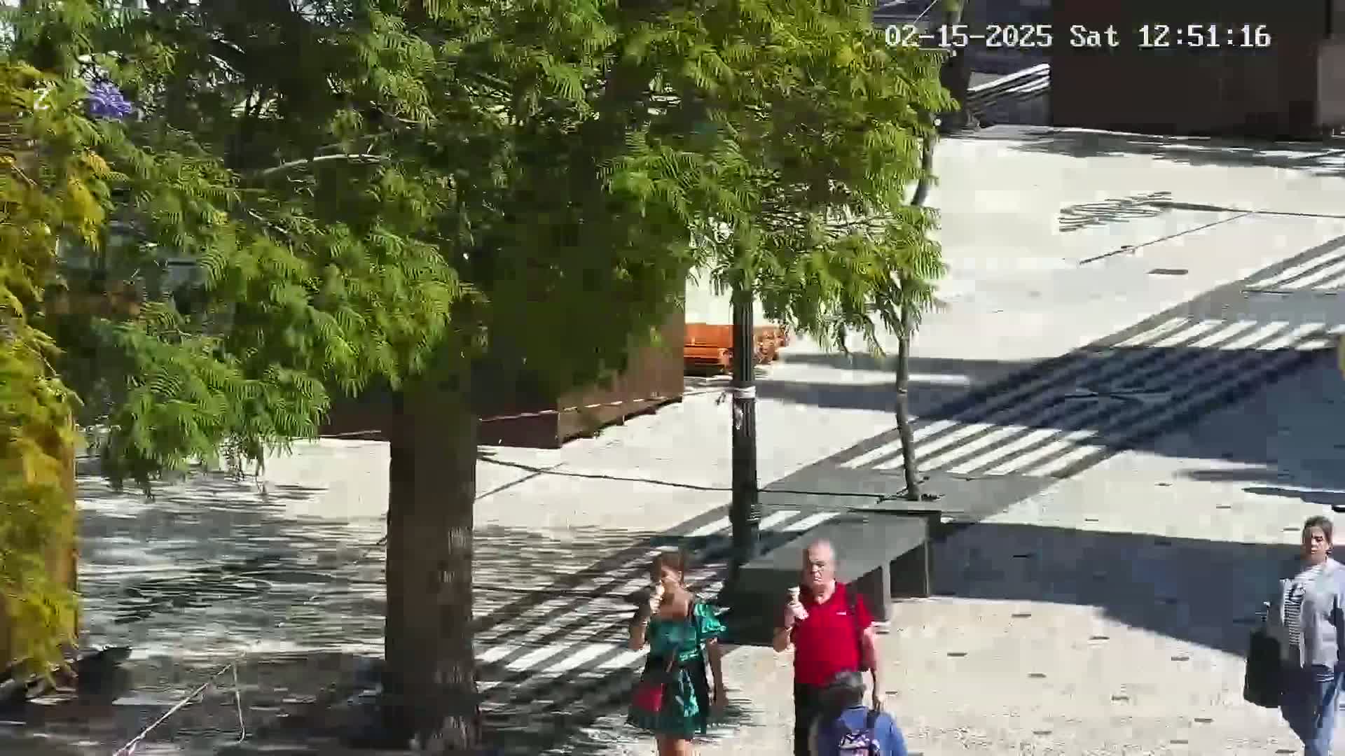 A sunny outdoor scene shows three people walking on a paved area, with lush green trees casting shadows on the ground.