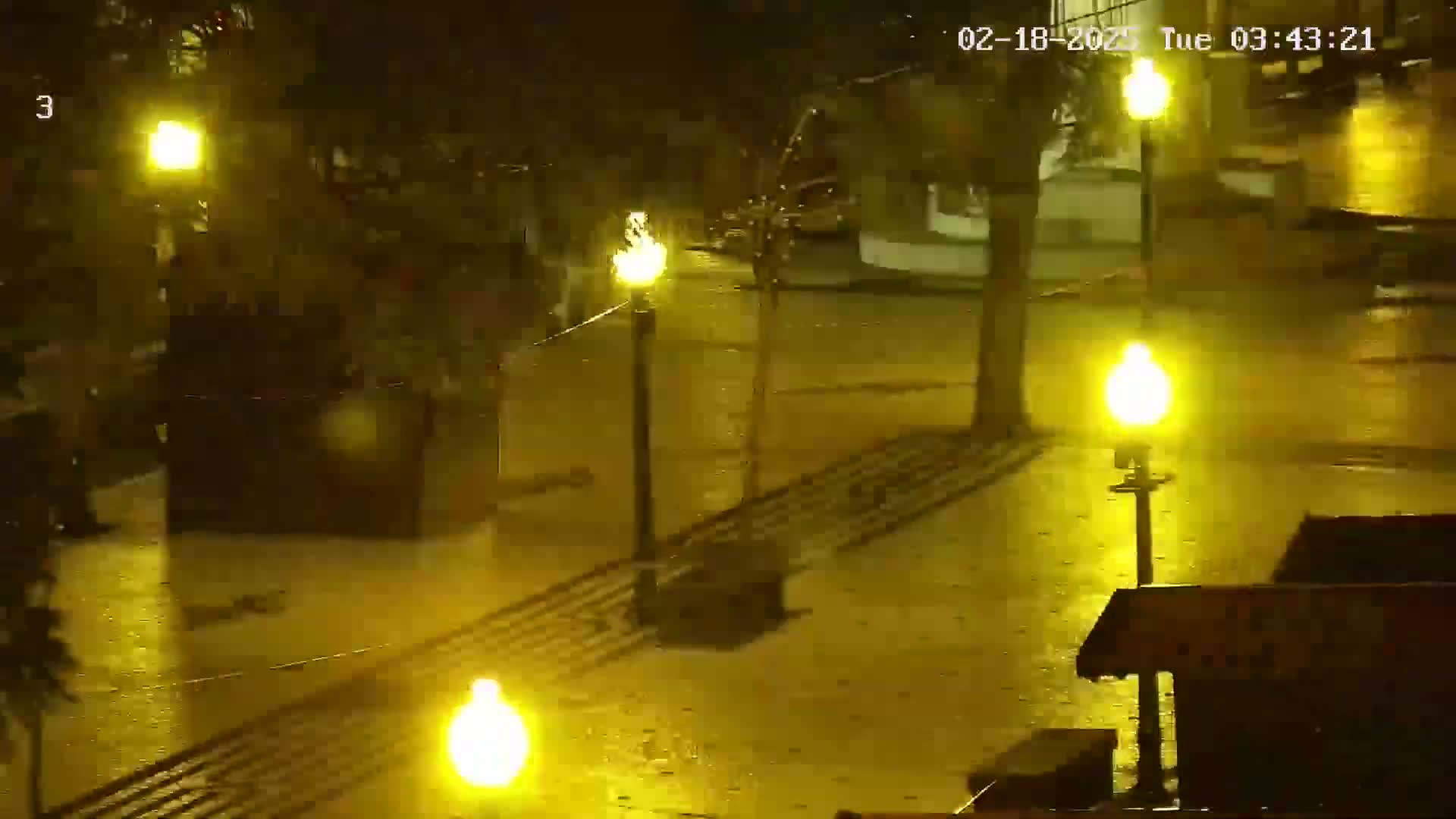  Ritz, Avenida Arriaga Avenue & Joao Goncalves Zarco Statue Live Cam - Funchal, Madeira, Portugal