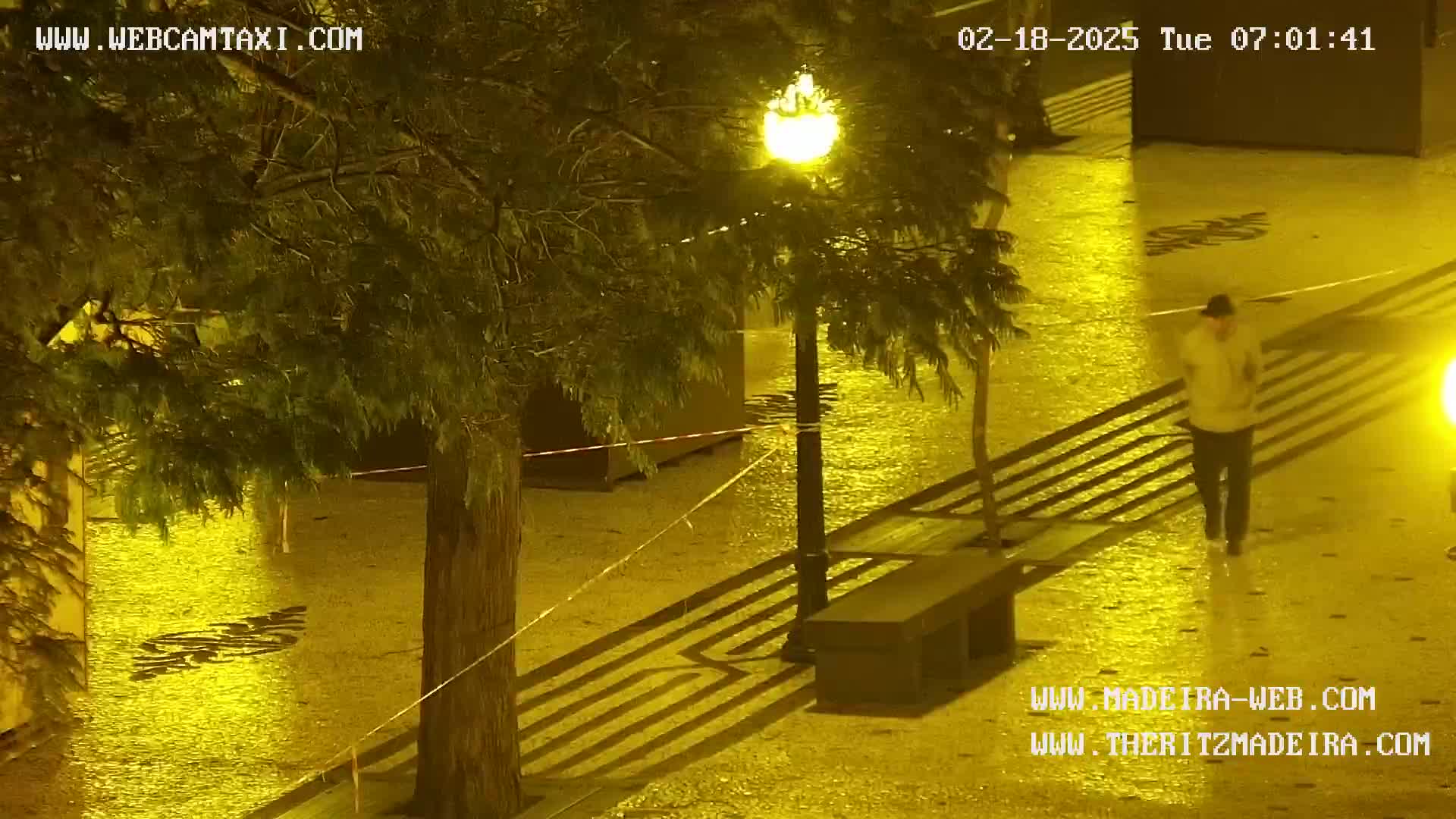 A person walks across a wet, paved area at night, illuminated by streetlights and ambient light, under trees.