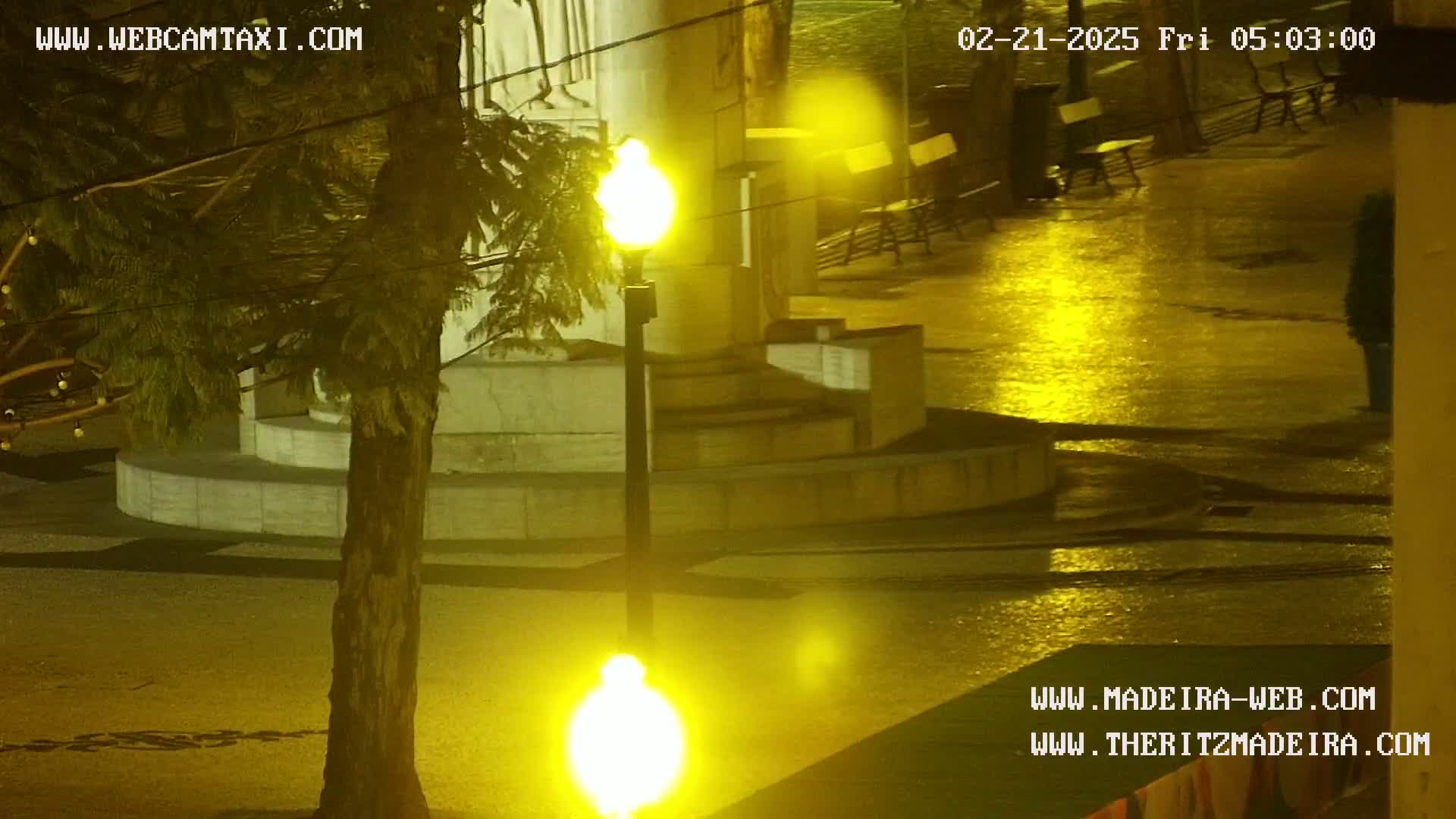 A nighttime view of a wet plaza with a lamppost and a tree, illuminated by yellow streetlights.