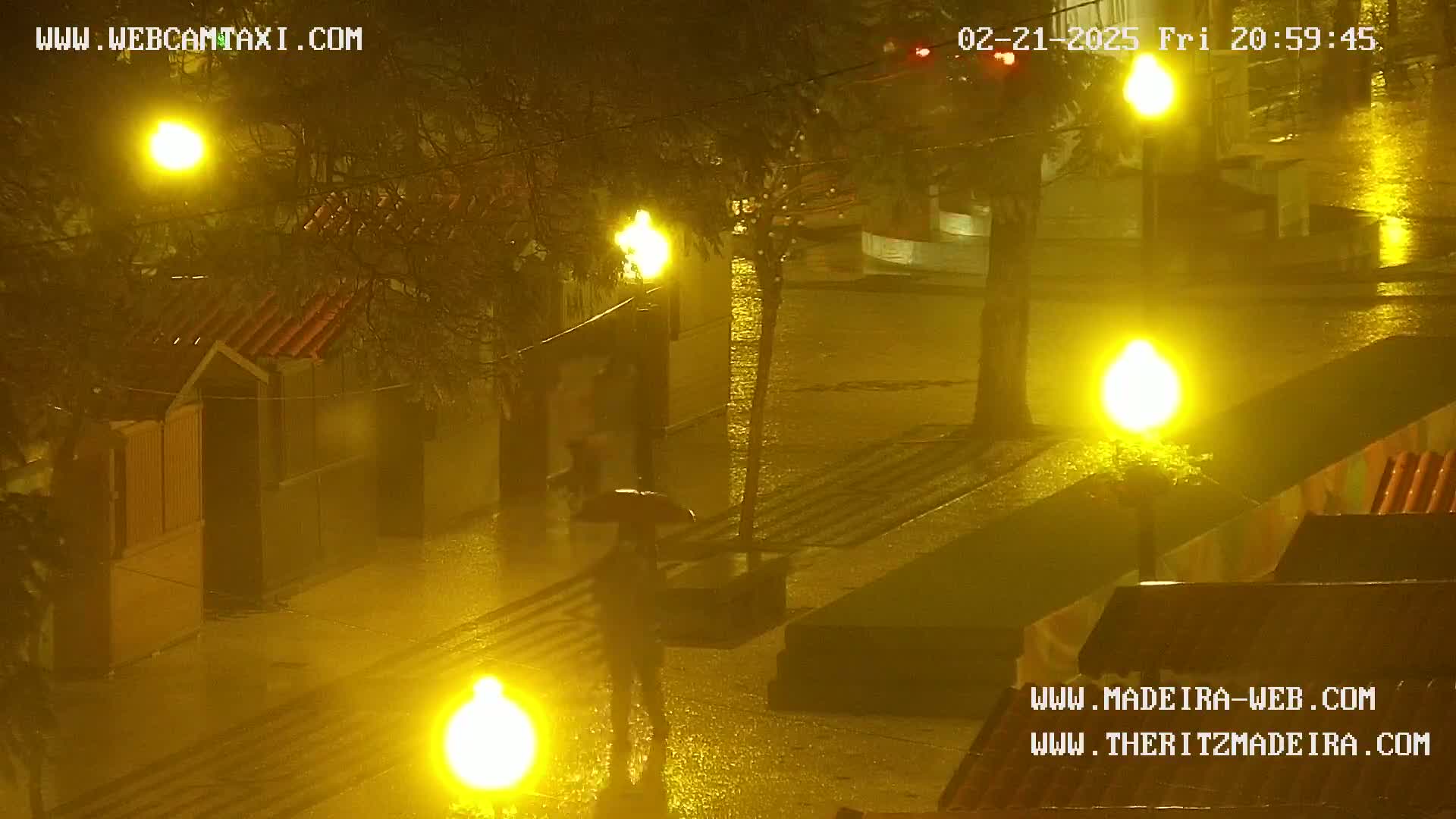 Ritz, Avenida Arriaga Avenue & Joao Goncalves Zarco Statue Live Cam - Funchal, Madeira, Portugal