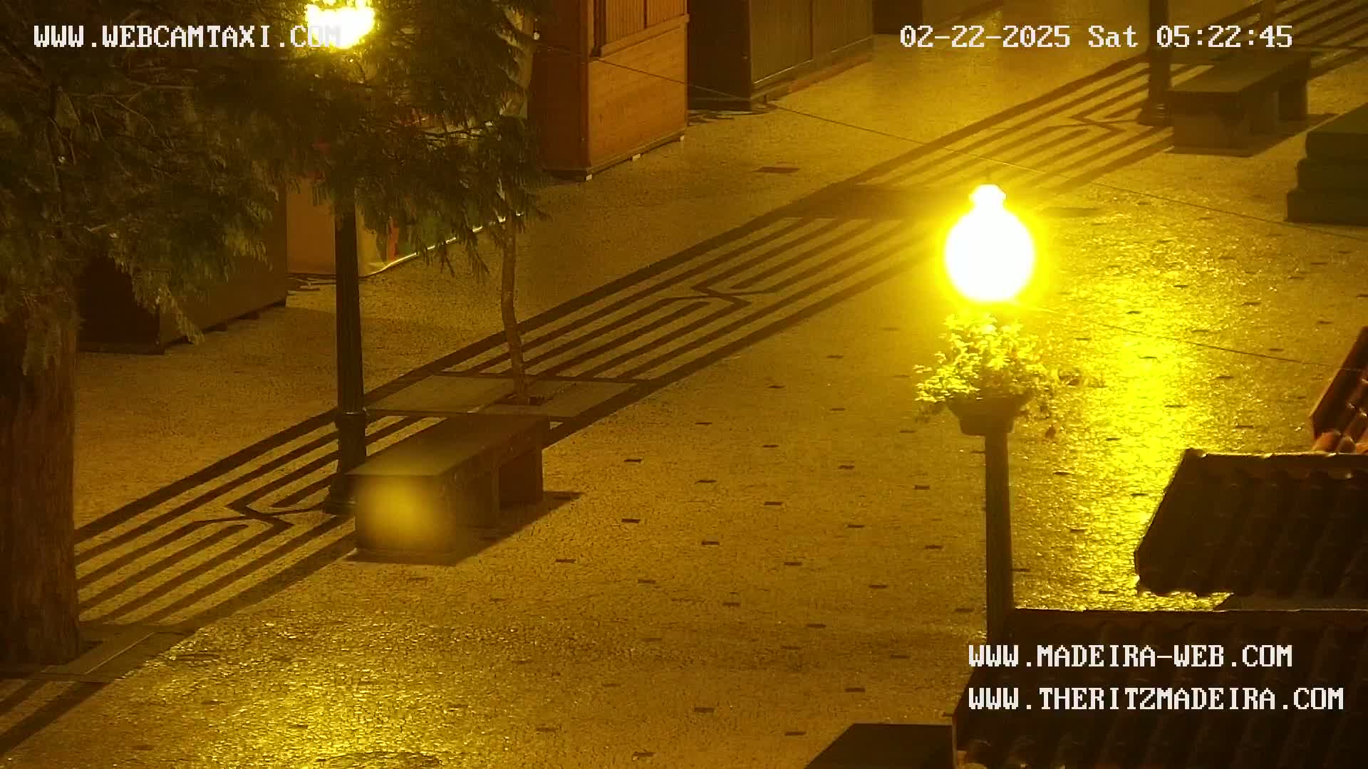 A wet, paved plaza at night is illuminated by a single bright lamppost, casting long shadows from nearby trees and benches.