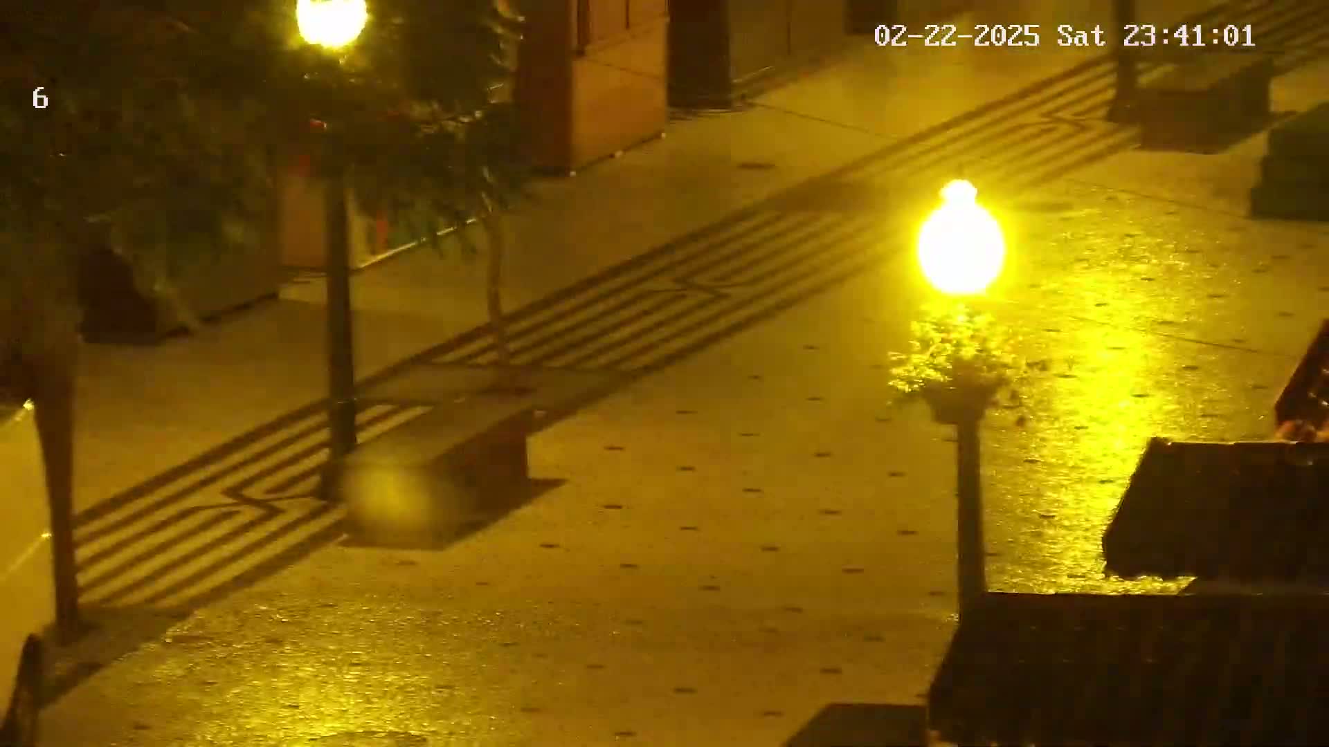 A rain-slicked, brightly lit outdoor paved area at night shows a bench, some foliage, and the shadows of streetlights and plants.