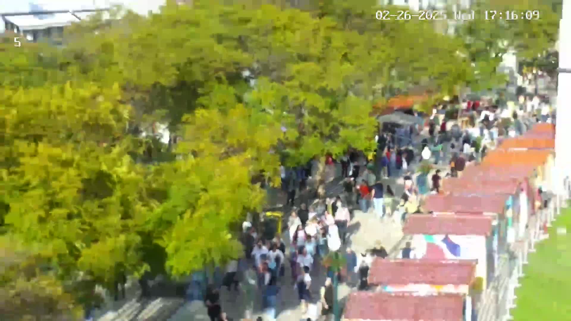 A large crowd of people walks along a path lined with small market stalls under a sunny sky, surrounded by lush green trees.