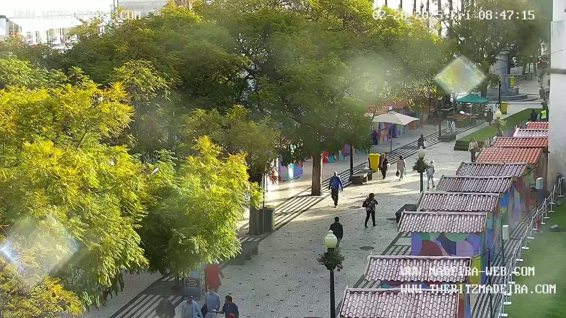 A sunlit paved plaza with numerous small market stalls and several pedestrians, surrounded by lush green trees.