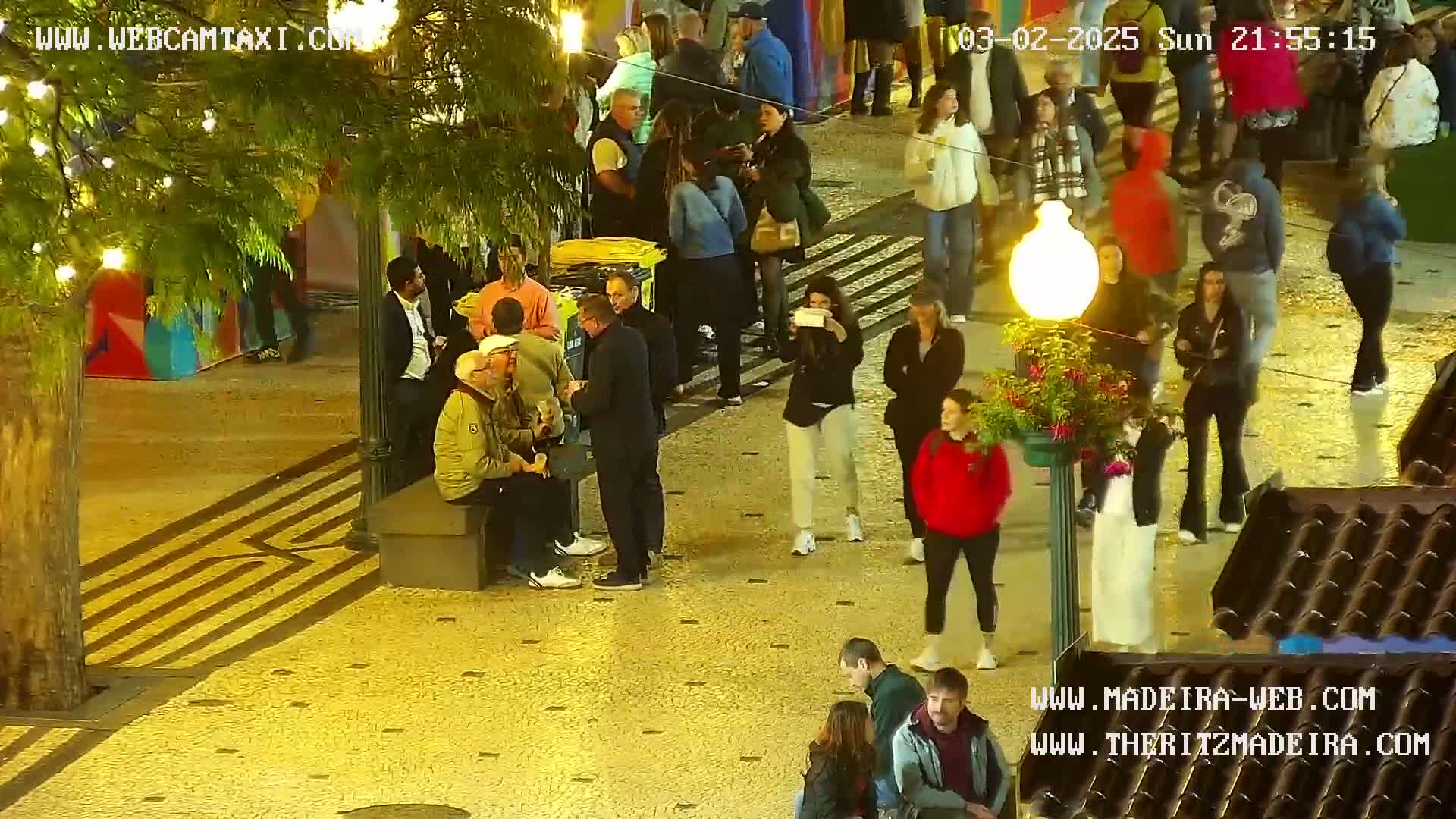 A nighttime outdoor scene shows many people walking and standing in a paved area under the canopy of trees with string lights, some people are sitting on a bench.