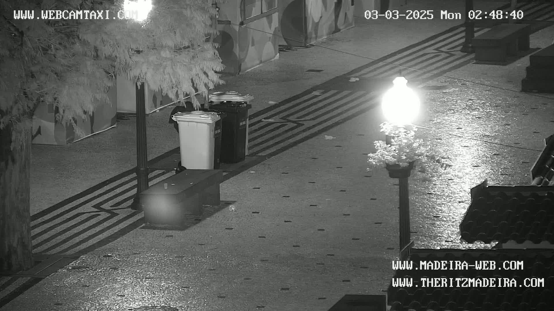 A nighttime outdoor scene shows two trash cans next to a bench under a streetlamp on a wet paved area near some buildings and trees.