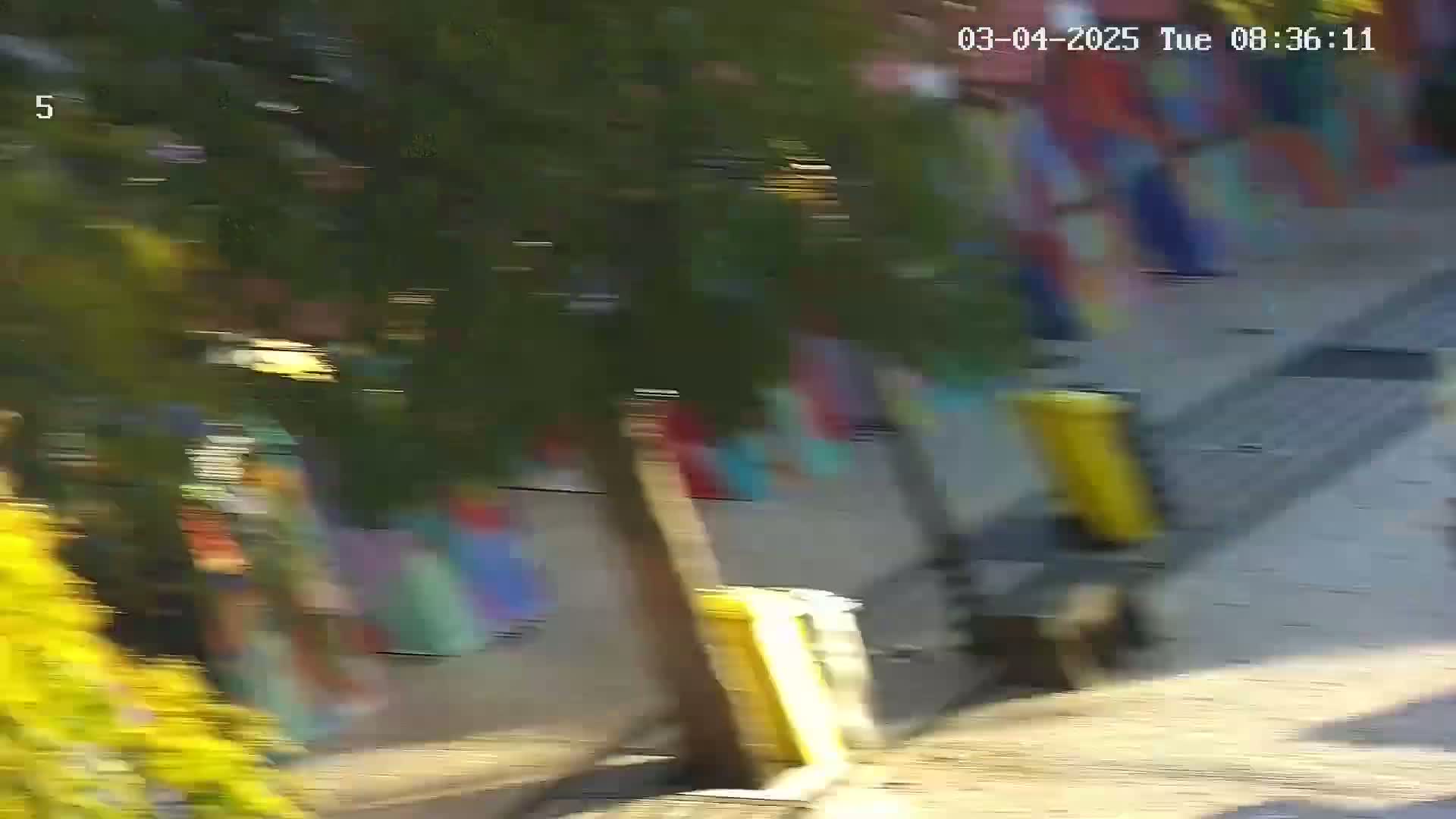 A blurry outdoor scene shows a street with people walking past a tree and colorful buildings on a sunny day.