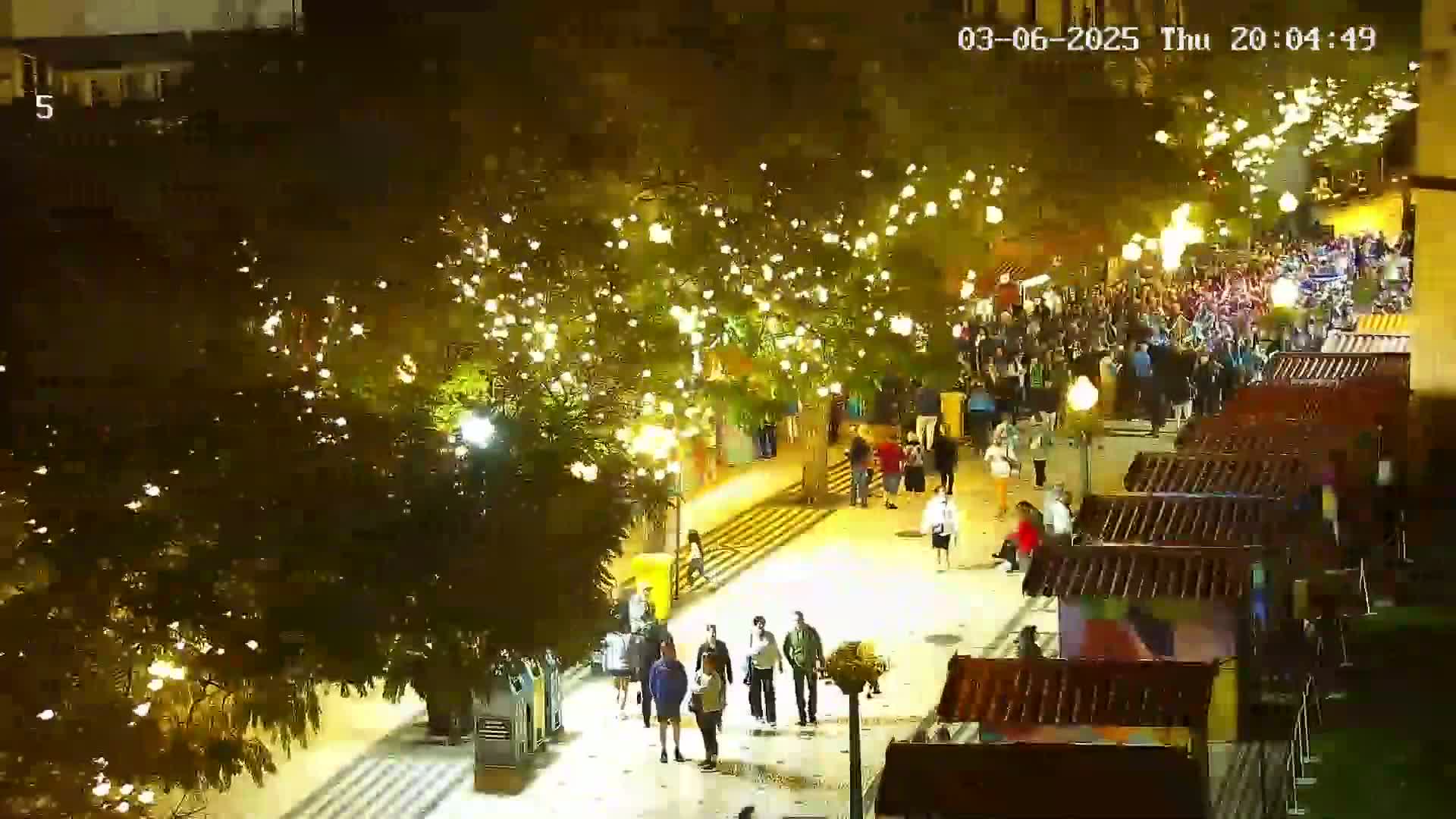 A nighttime street scene shows many people walking beneath trees illuminated with strings of lights.