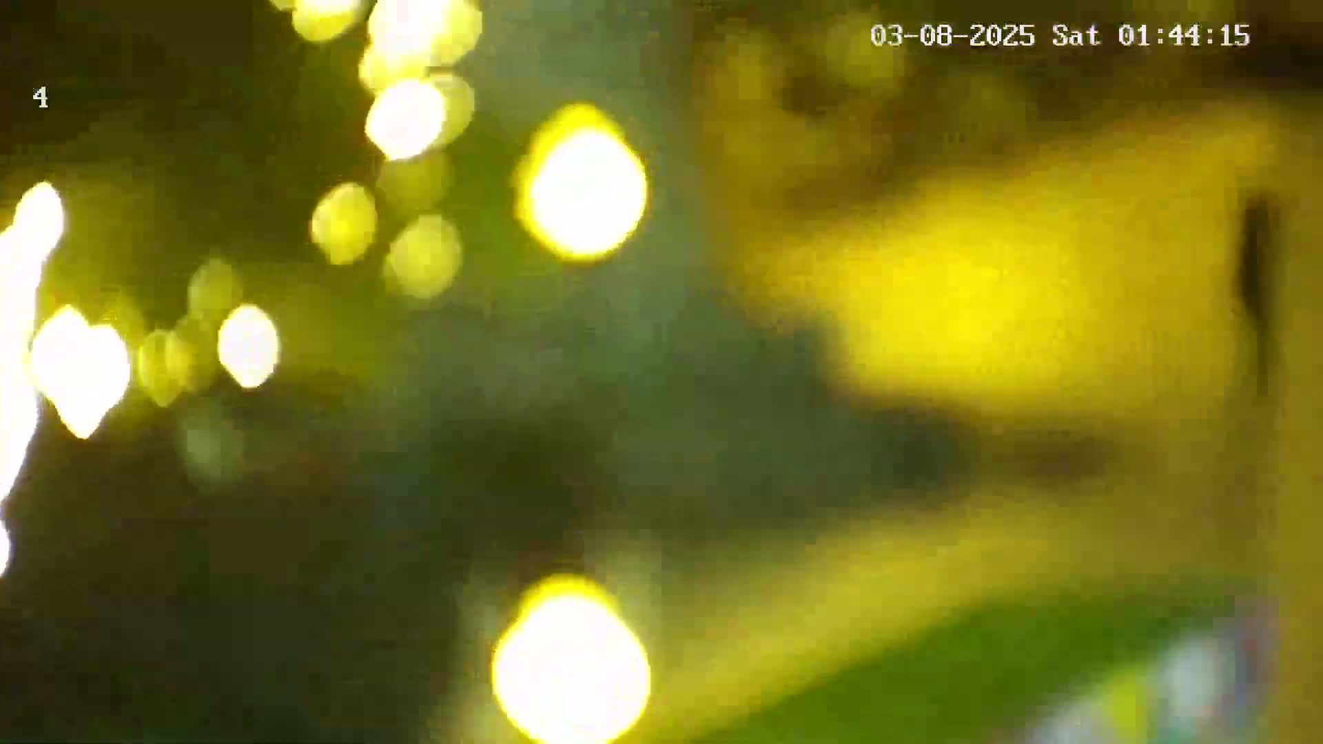 A blurry image shows out-of-focus yellow lights at night.