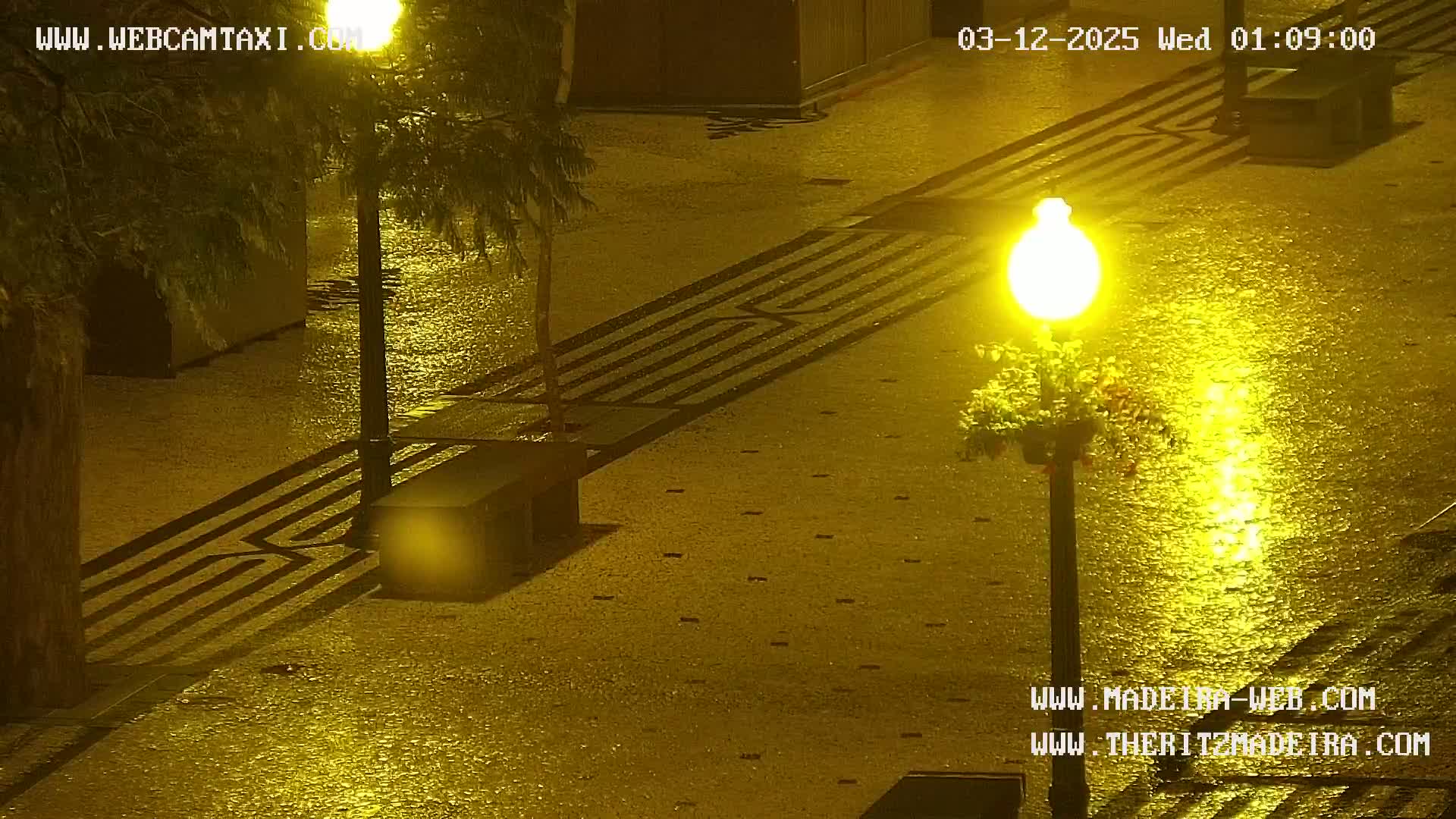 A wet, paved walkway at night is illuminated by streetlights, with shadows cast from trees and a bench.
