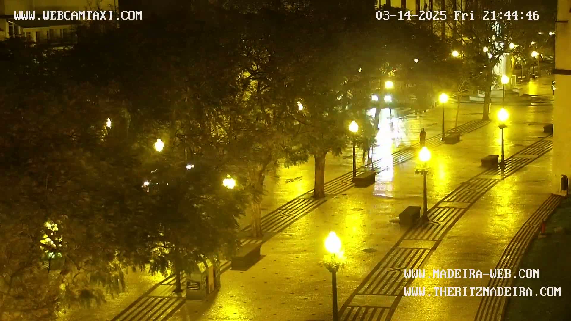 A wet, illuminated pedestrian walkway at night, lined with trees and streetlights.