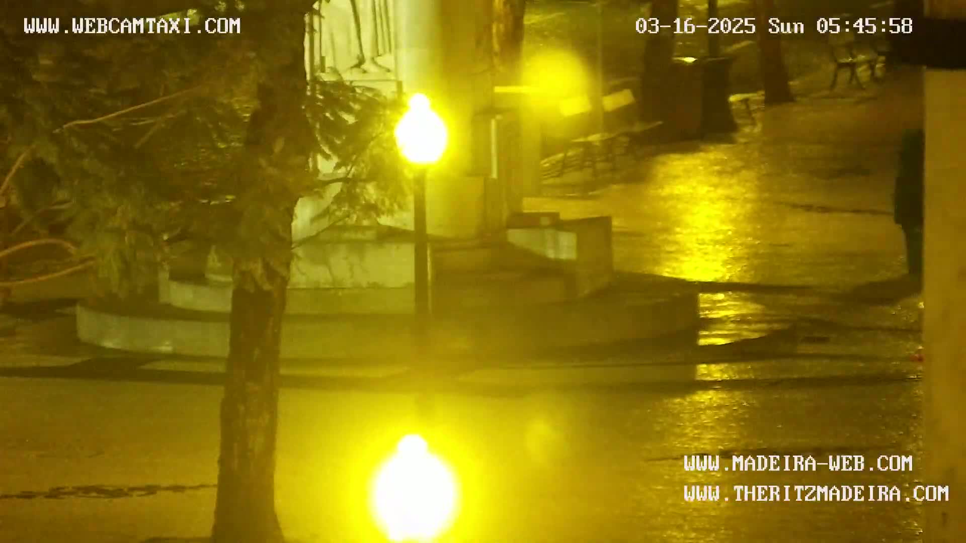 A nighttime scene of a wet, dimly lit plaza with a tree and lampposts, illuminated by yellow streetlights.