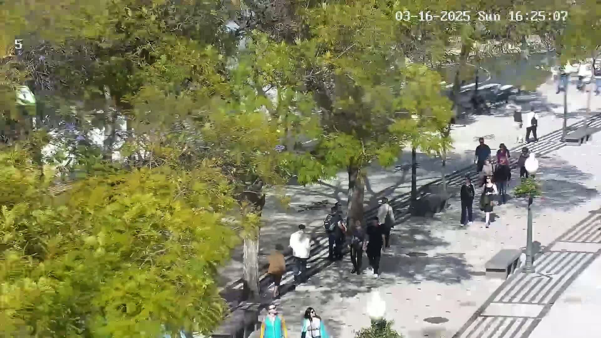 A paved walkway lined with benches and trees is populated with numerous pedestrians on a sunny day.