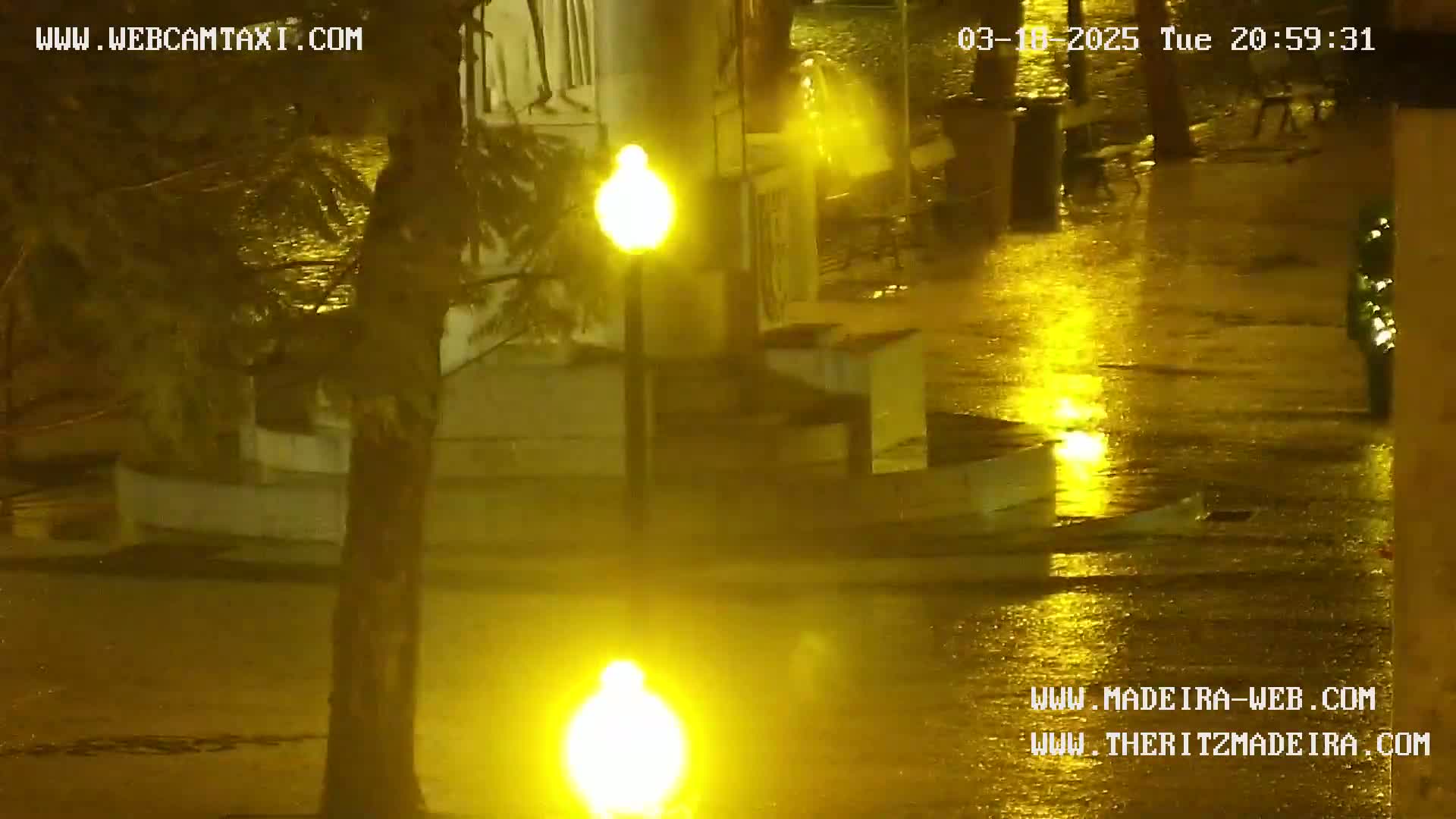 A nighttime scene shows a rain-soaked street with illuminated lampposts and a water feature, partially obscured by trees and foliage.