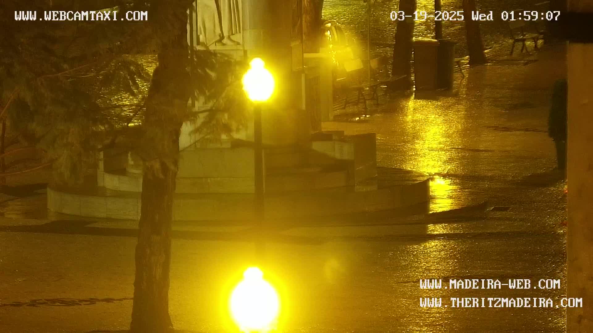 A nighttime, rainy scene shows a wet plaza with two bright yellow streetlights reflecting in the water, near a tree and a stone structure.