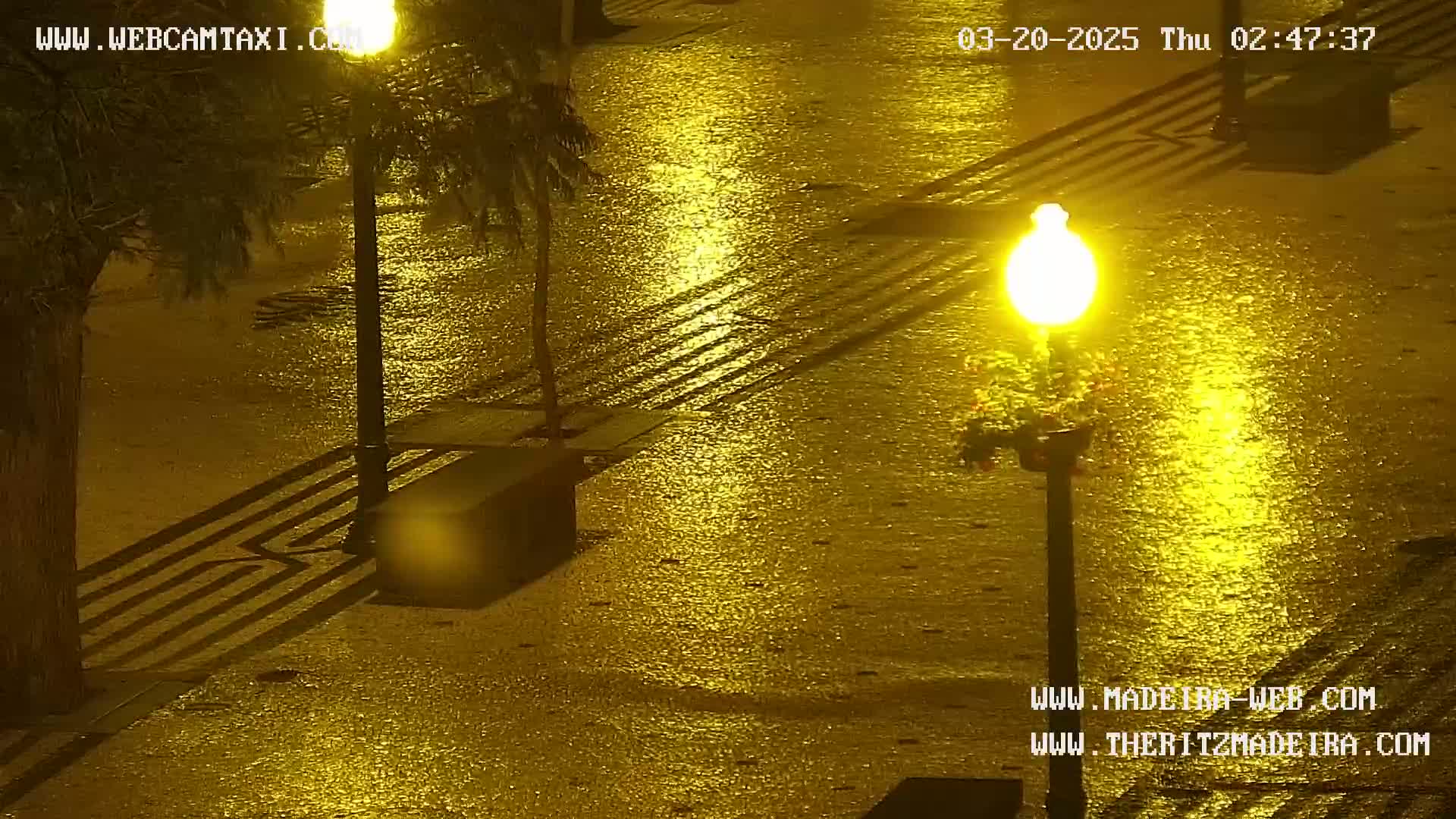 A rain-slicked paved area at night is illuminated by a bright streetlamp, casting reflections on the wet surface.
