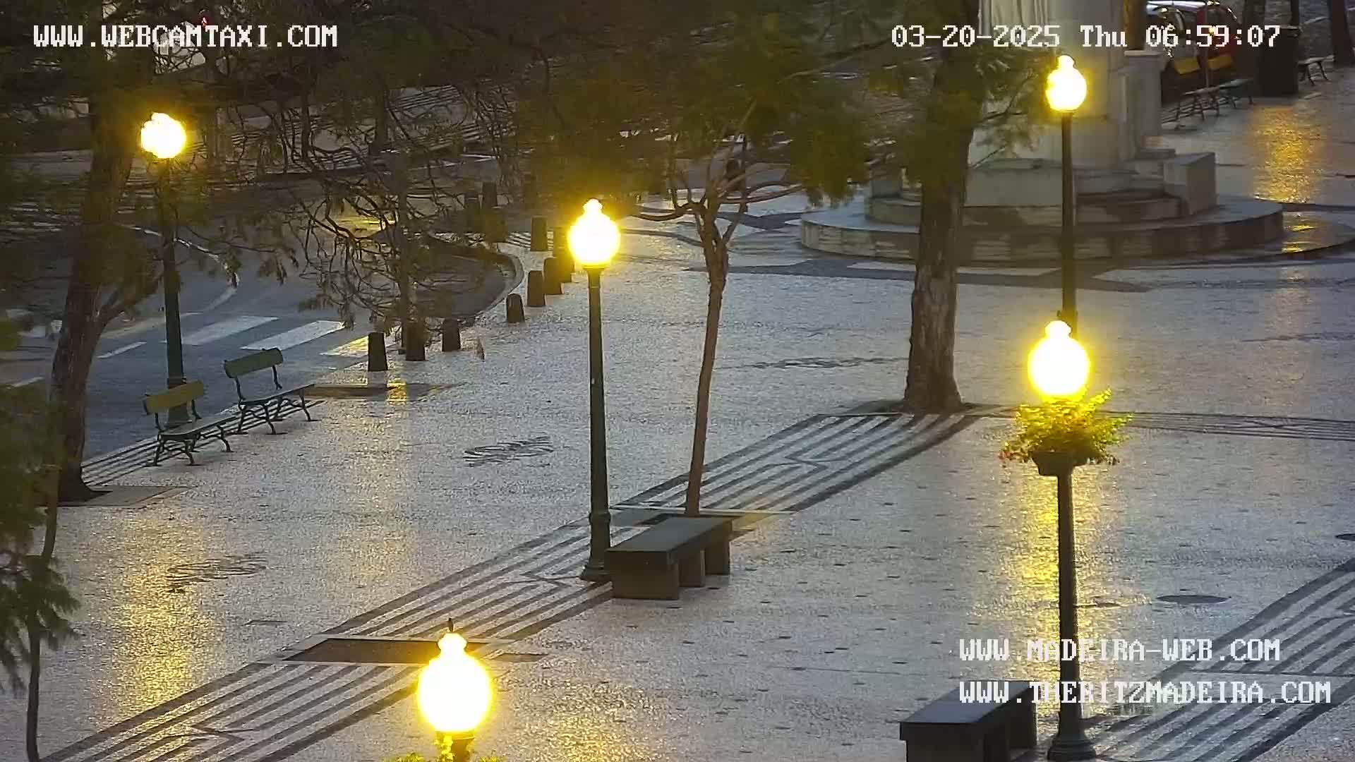 A wet, paved plaza at dawn is illuminated by several lampposts, with benches and small trees scattered throughout.