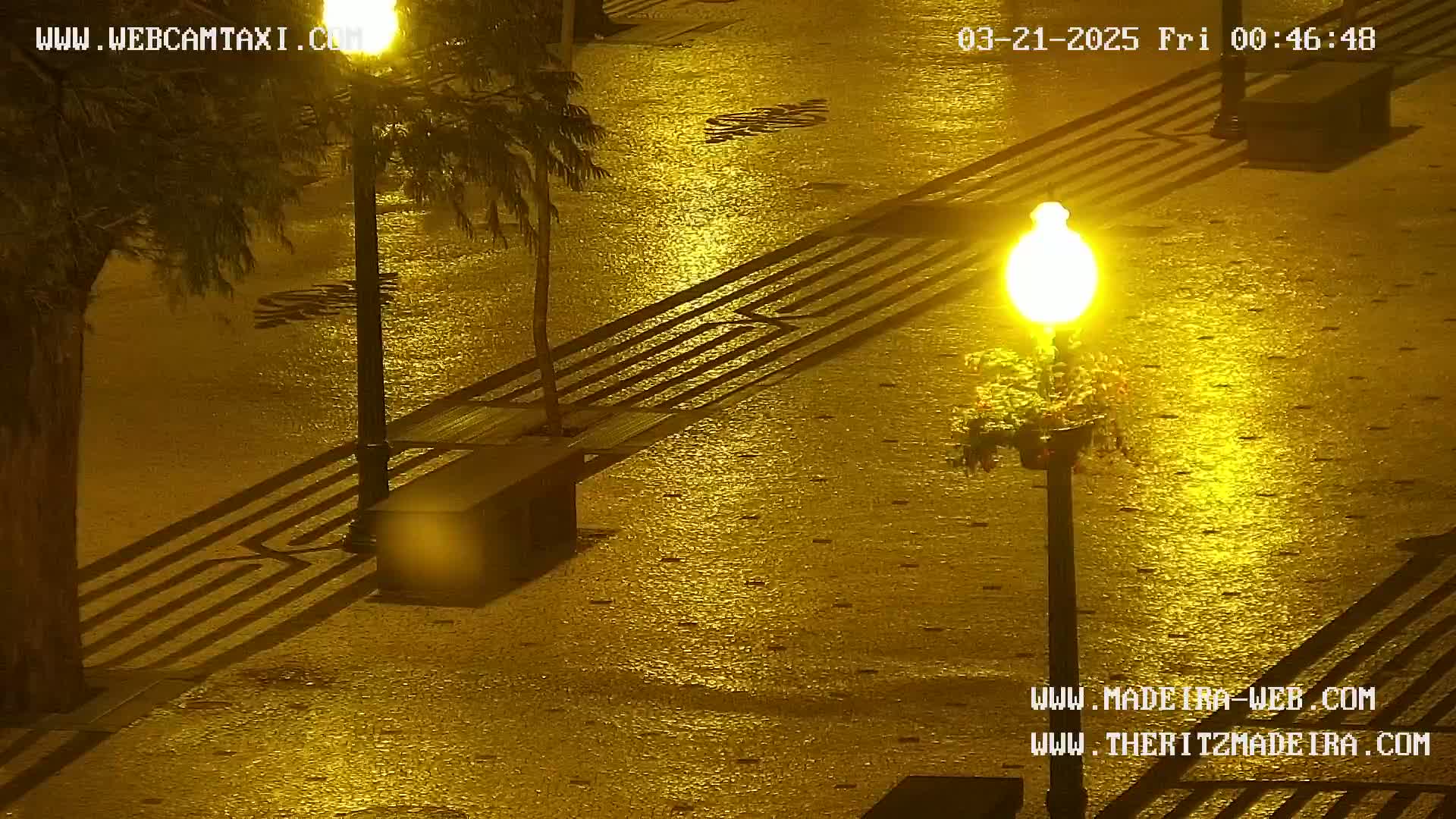A wet, golden-lit plaza at night is shown, with shadows cast from street lamps and trees onto patterned pavement.