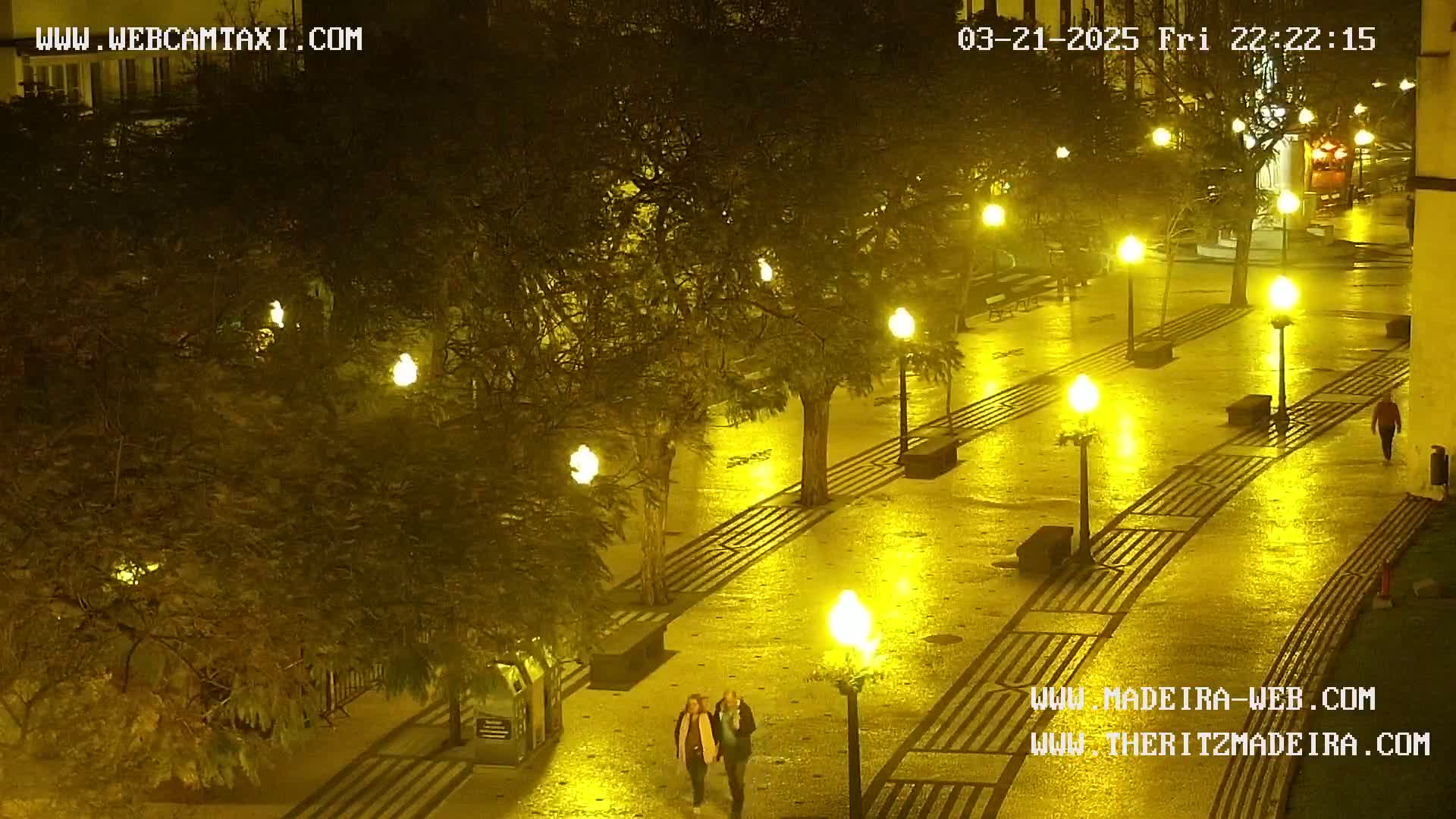 A wet, paved walkway at night is illuminated by numerous streetlights, lined with trees and a couple walking down the middle.