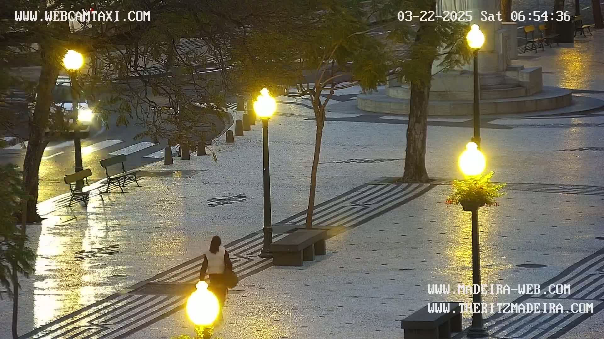 A person walks through a wet, paved plaza at dawn, past benches and lit lampposts under the bare branches of trees.