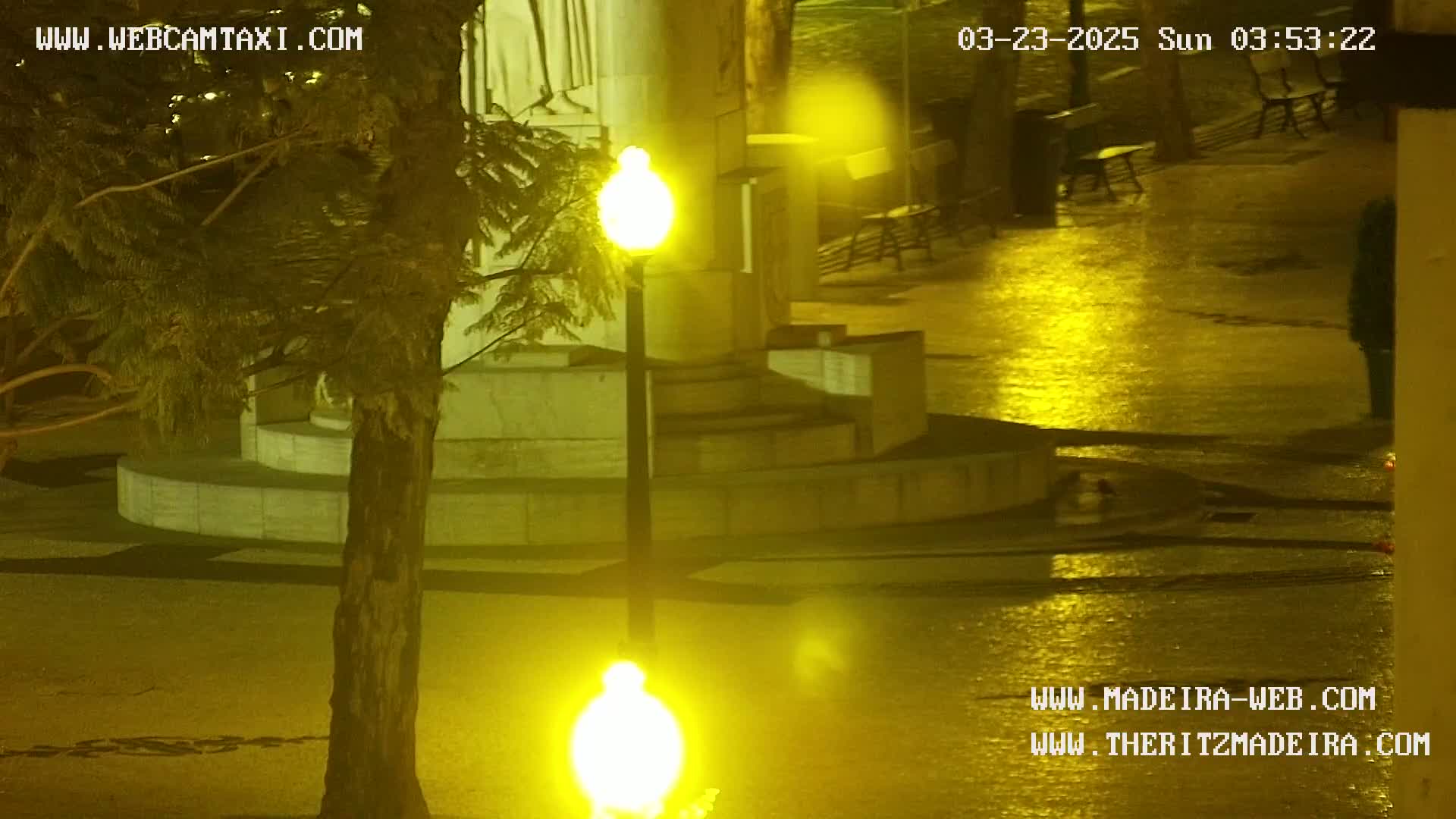 A wet, nighttime scene shows a plaza with a stone structure, a lamppost, and a tree, illuminated by yellow streetlights.