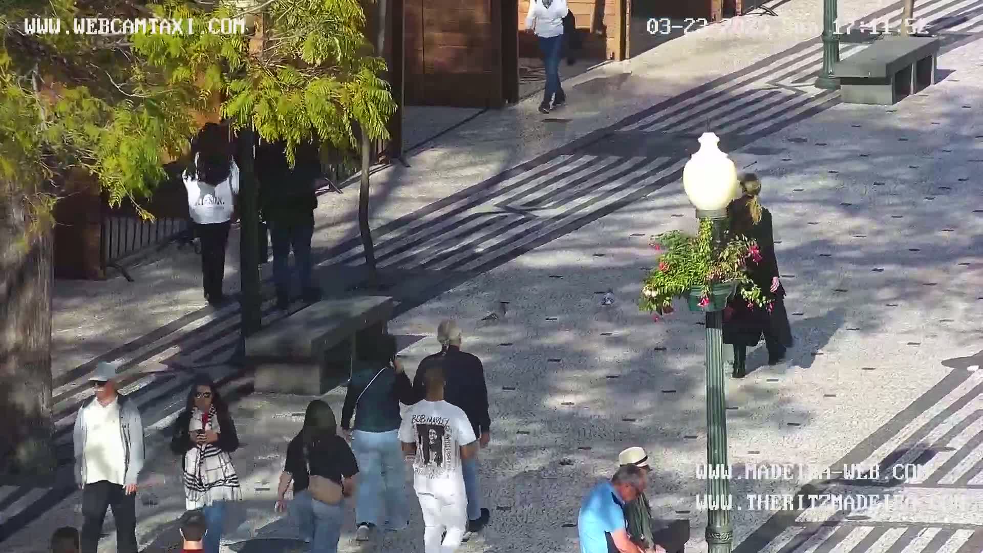 A sunny day shows many people walking on a patterned stone walkway, some standing near trees and buildings.