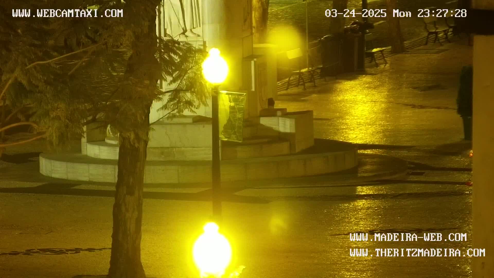 A nighttime, wet scene shows a lamppost next to a stone structure and tree, with reflections of the yellow streetlights on the wet pavement.