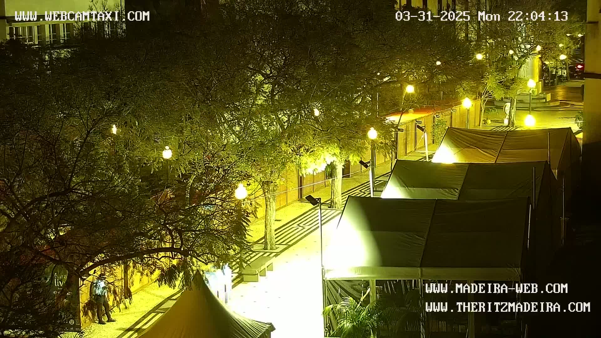 At night, a paved area with several tents and trees lit by streetlights is seen from an elevated vantage point.