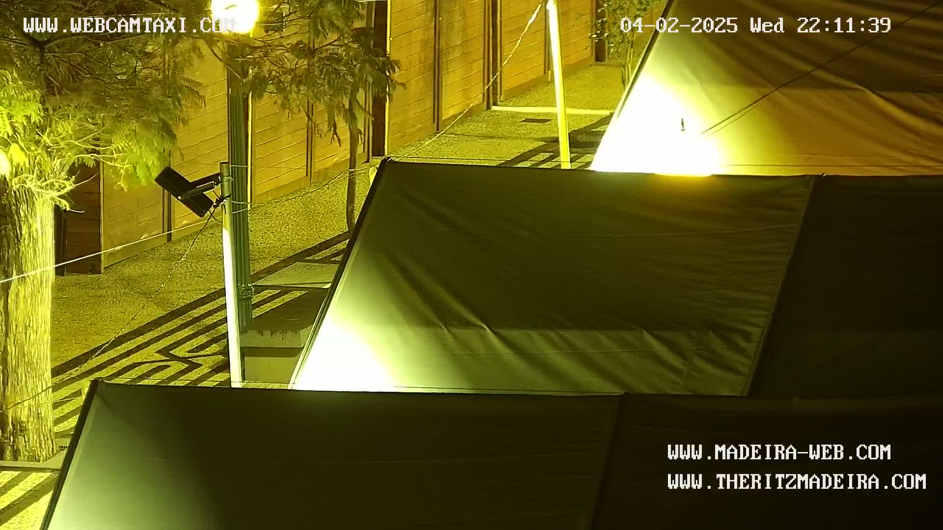 At night, several dark-colored tents are illuminated by artificial light, situated next to a wooden fence and a tree.