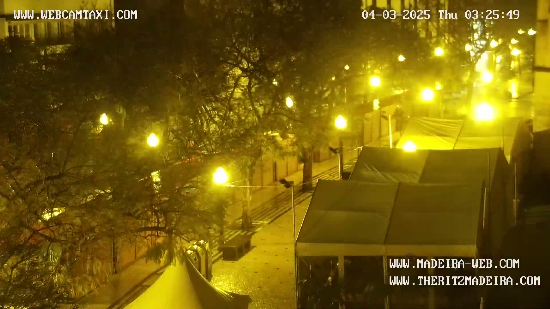 A rain-slicked nighttime street scene shows numerous tents set up under illuminated trees and streetlights.
