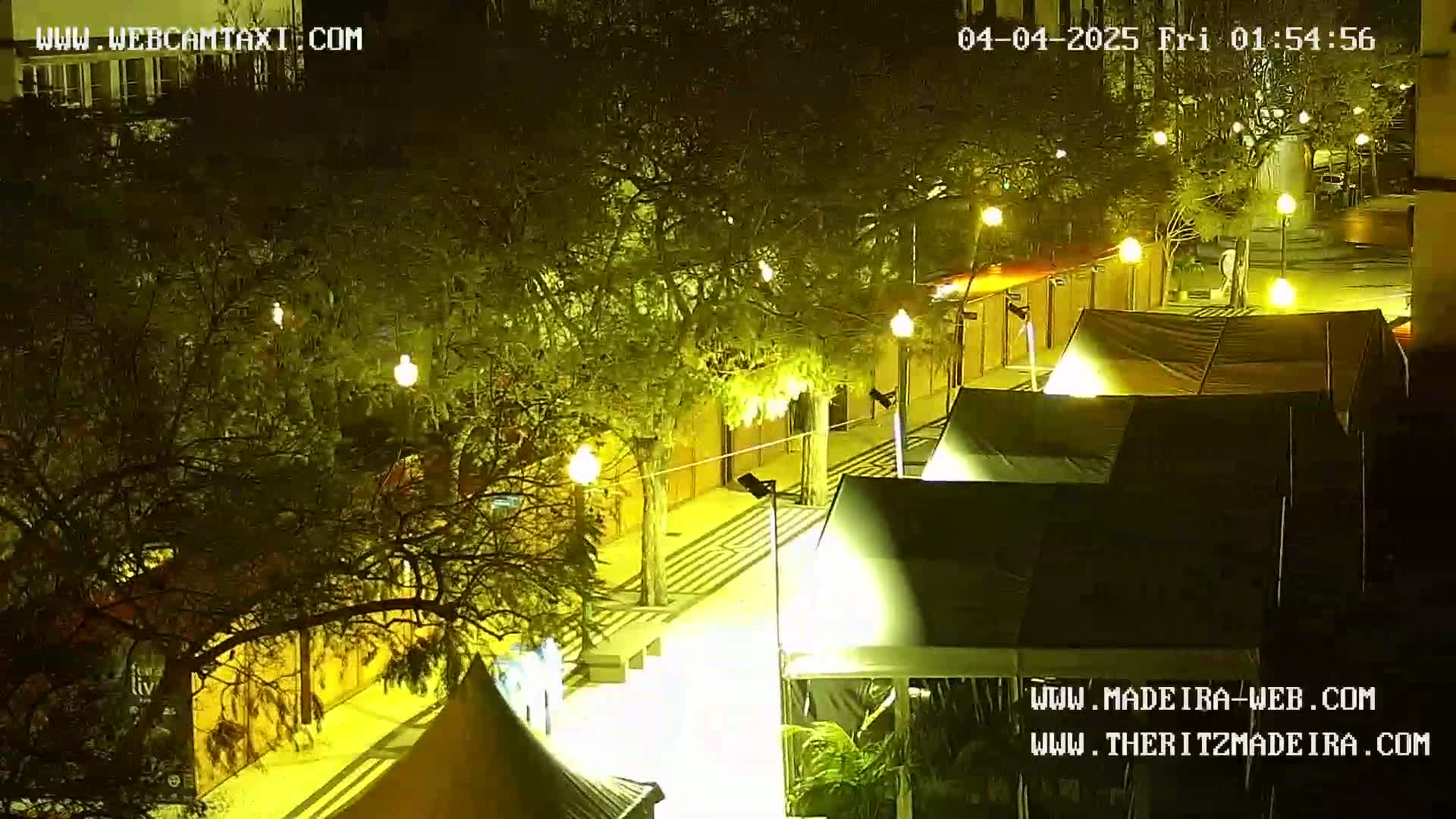 A nighttime, overhead view of a city street lined with trees and illuminated by streetlights, featuring several dark-colored tents set up along the walkway.