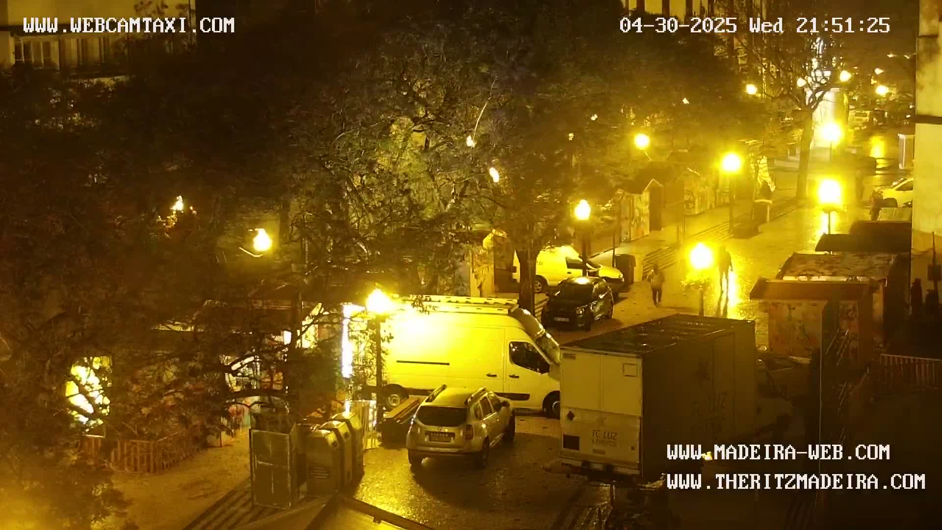 A nighttime street scene shows several vehicles parked along a wet roadway, illuminated by streetlights, with pedestrians walking amidst trees.