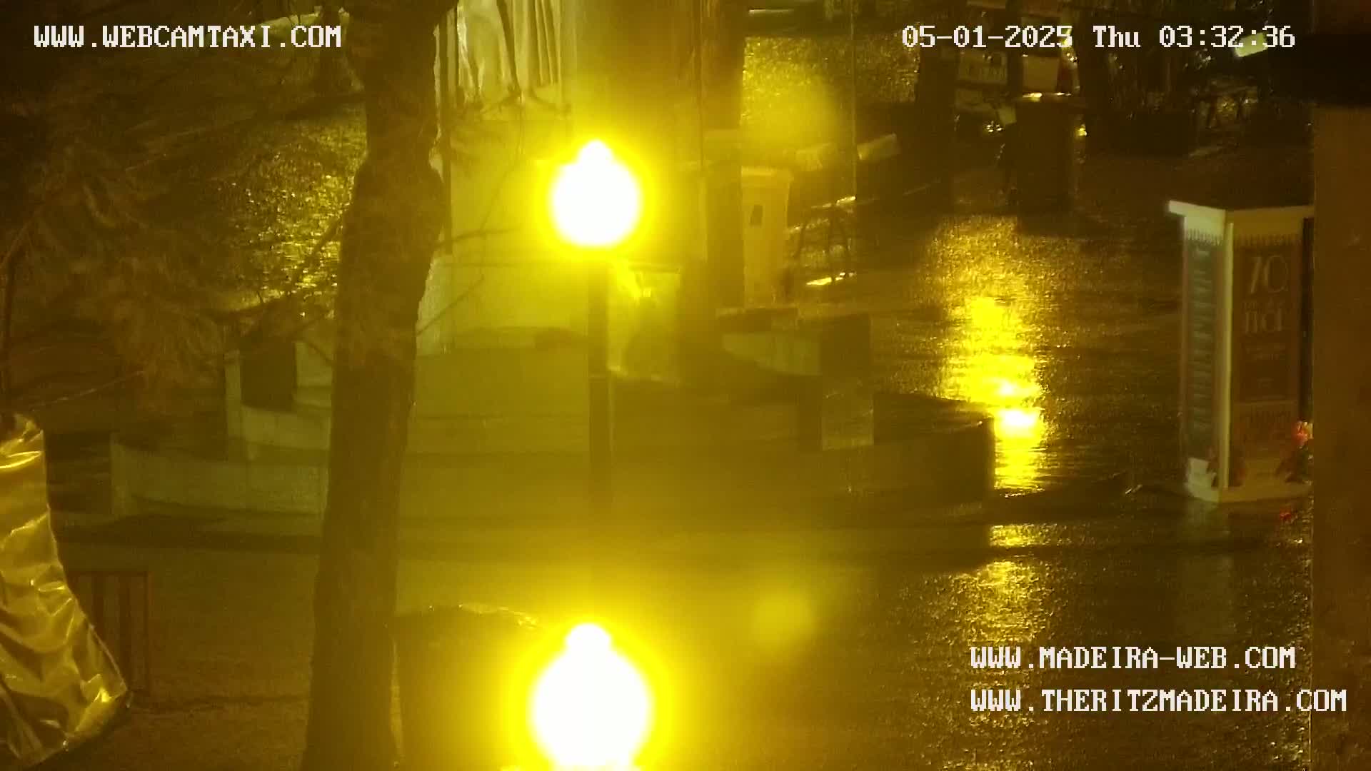 A nighttime, rain-soaked street scene is illuminated by bright yellow streetlights reflecting on wet pavement.