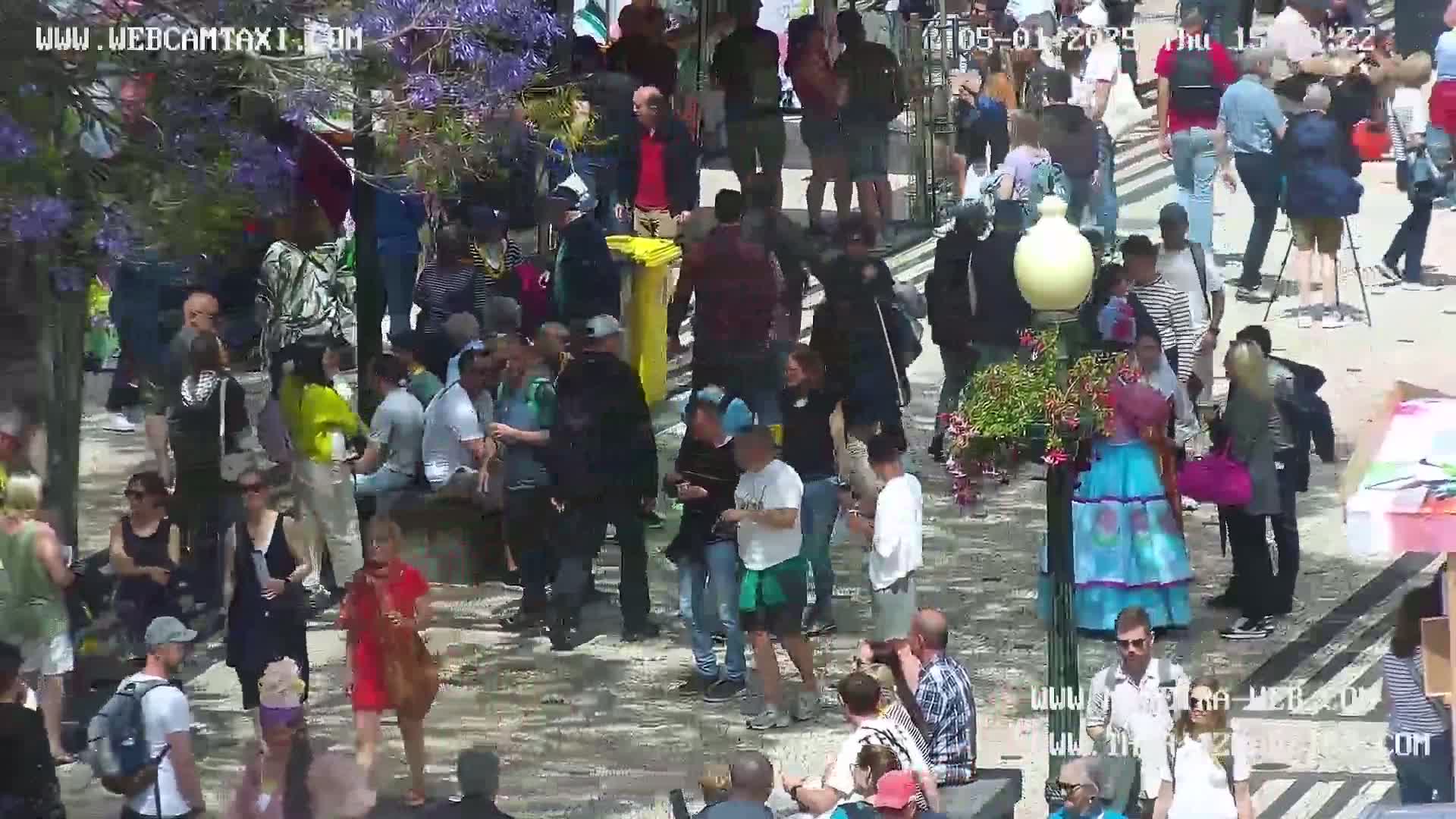 A large crowd of people is gathered outdoors on a sunny day in a paved area, partially shaded by trees with purple flowers.